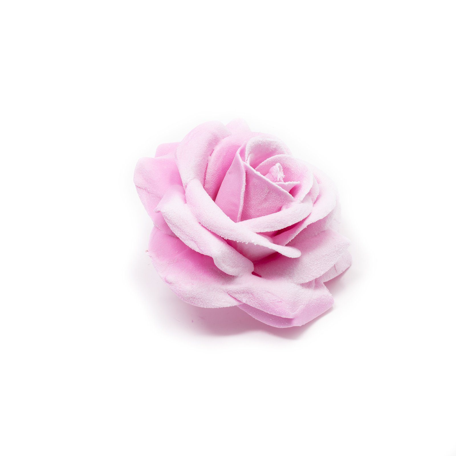 Snow, Primera, - Trockenblume cm Wachsrose 10er-Set Pink Höhe 20