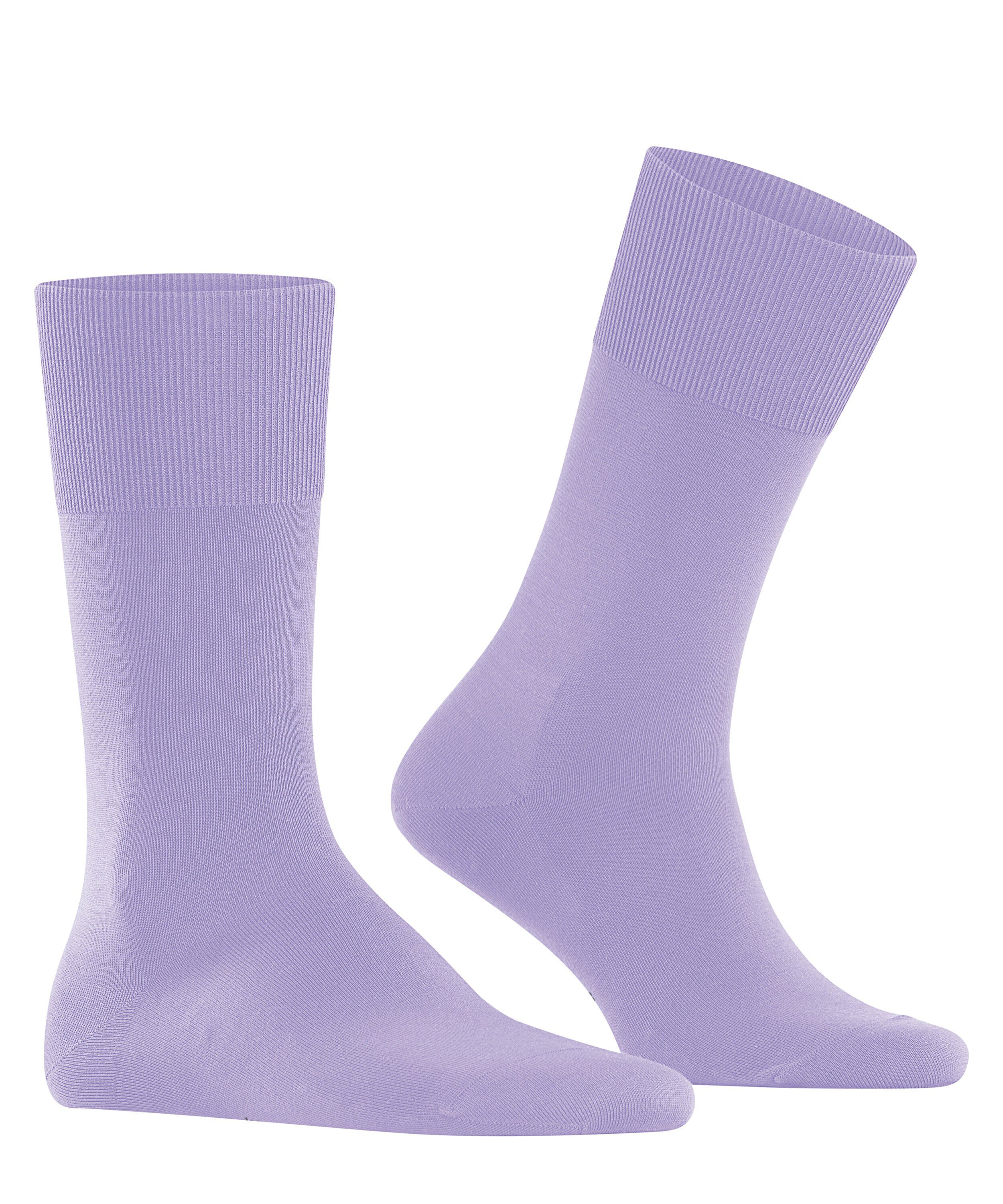 FALKE Socken ClimaWool (1-Paar) lupine (6903)