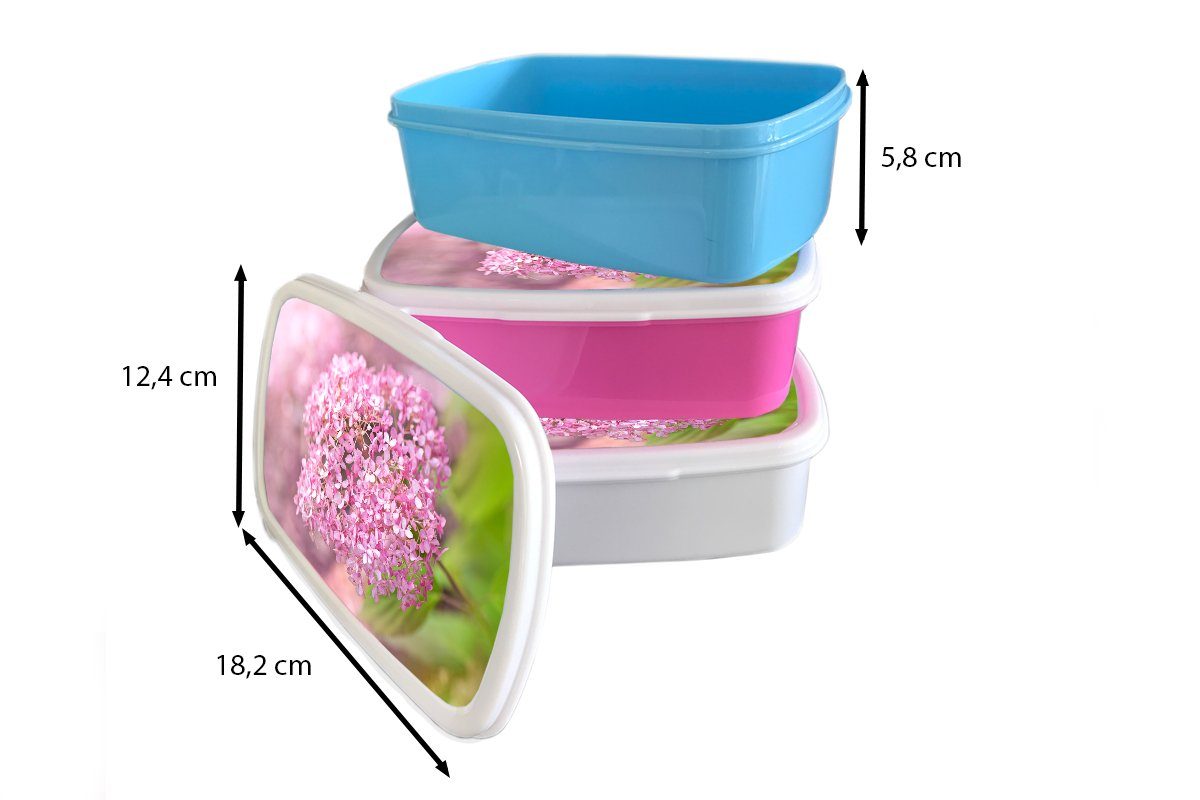 MuchoWow Lunchbox Nahaufnahme einer Hortensie, (2-tlg), für und für Kinder Brotdose, Brotbox weiß Kunststoff, und Erwachsene, Jungs Mädchen