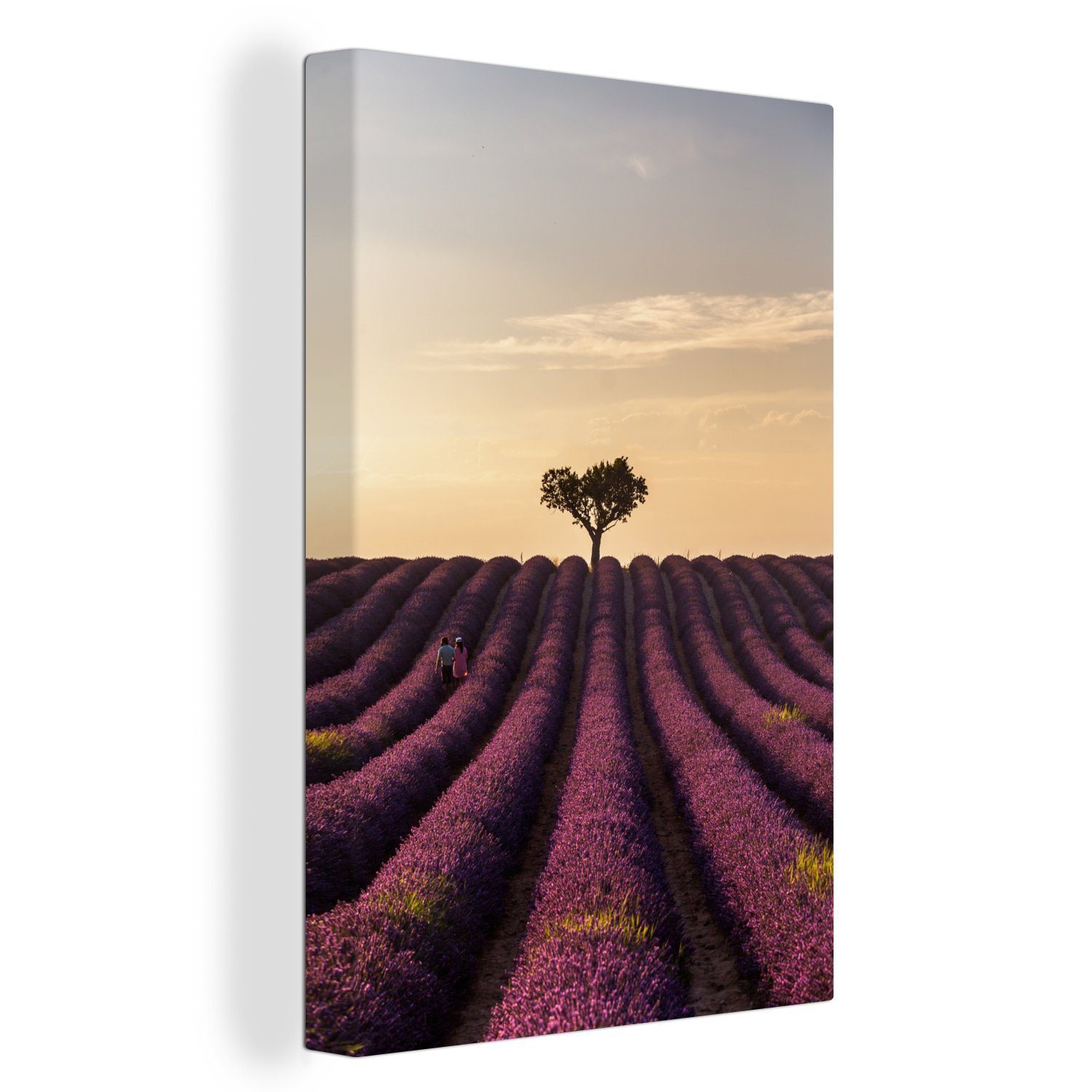 OneMillionCanvasses® Leinwandbild Lavendelfeld - Baum - Sonnenuntergang, (1 St), Leinwandbild fertig bespannt inkl. Zackenaufhänger, Gemälde, 20x30 cm