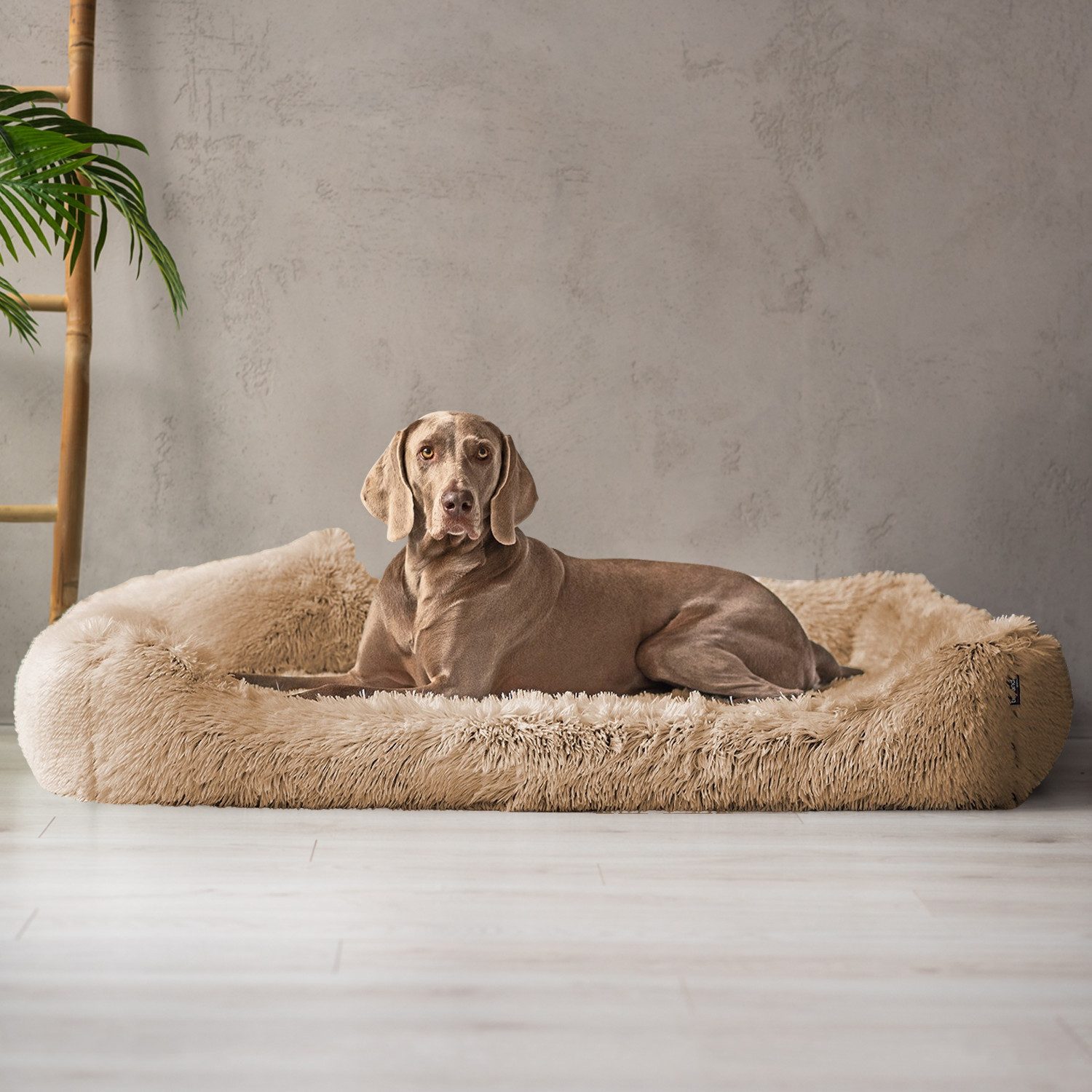 Thumbnail - tierlando® Tierbett Orthopädisches Hundebett PEDRO Shaggy kuscheliger Langflor