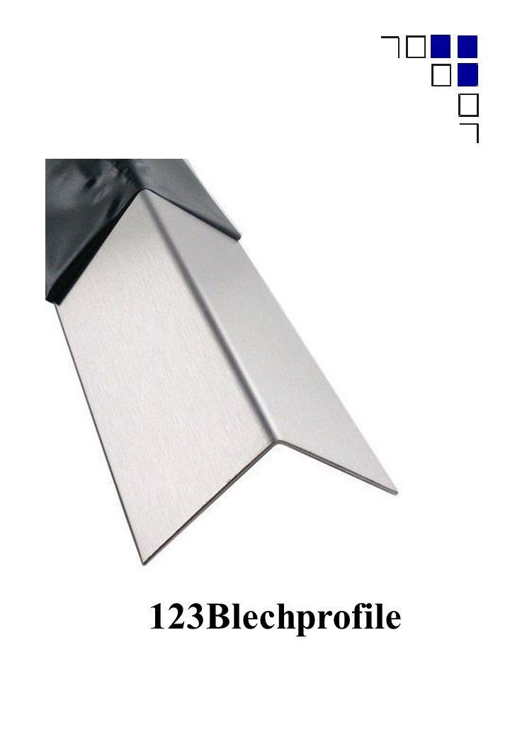 Schlögel Winkelprofil Winkelprofil Edelstahlwinkel Kantenschutzwinkel 1.4301 einseitig, formschöne ansprechende runde Kante