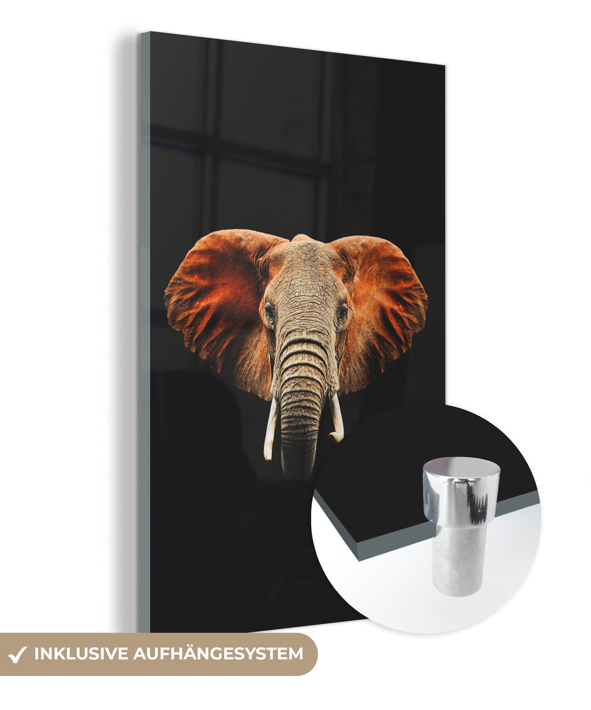 MuchoWow Acrylglasbild Elefant - Schwarz - Kopf, (1 St), Glasbilder - Bilder auf Glas Wandbild - Foto auf Glas - Wanddekoration bunt