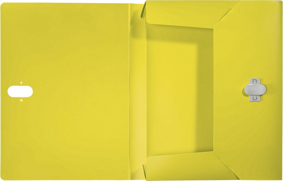 LEITZ Fächermappe Ablagebox Recycle A4 PP 30mm gelb