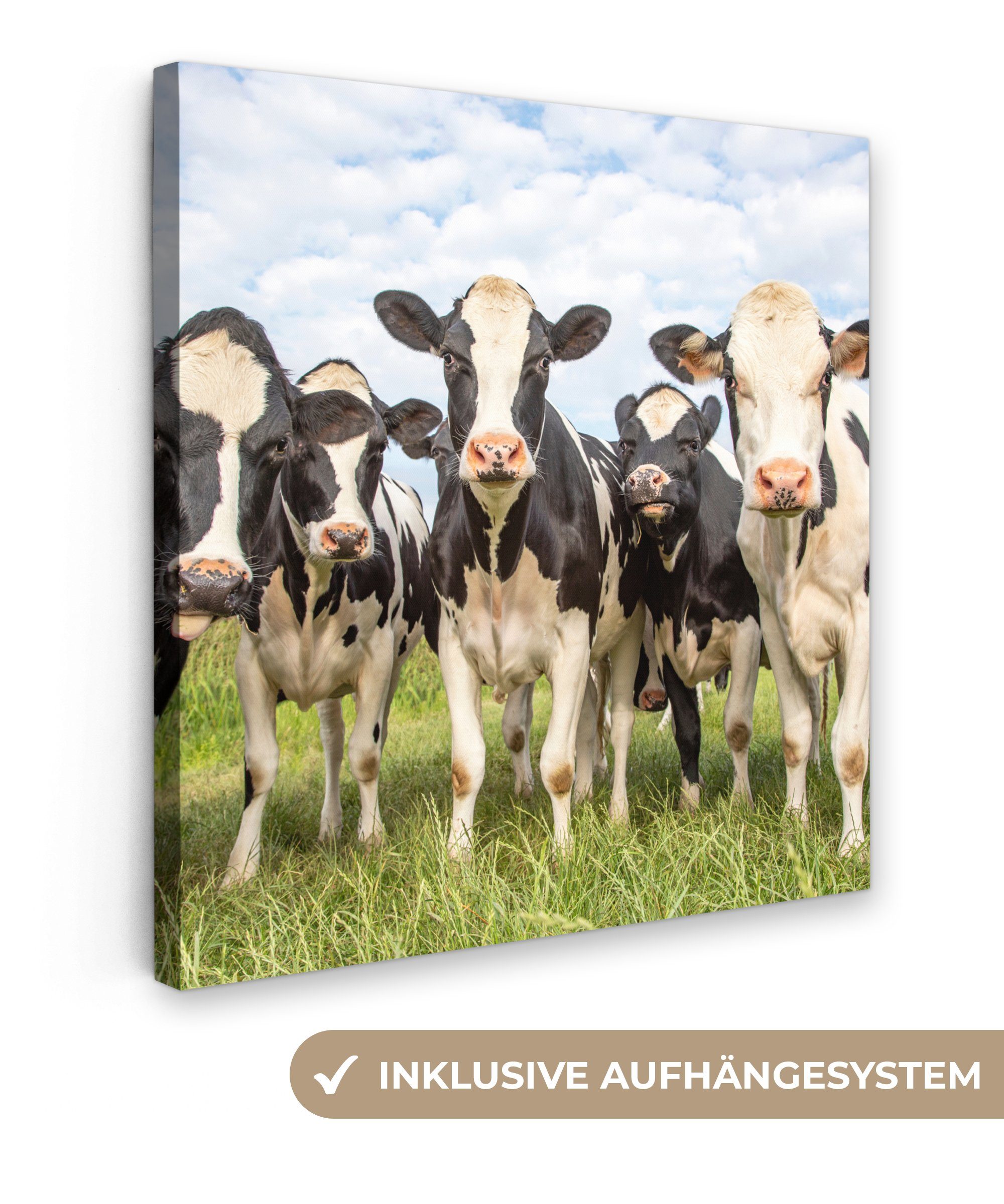 OneMillionCanvasses® Leinwandbild Kühe - Weide - günstig online kaufen