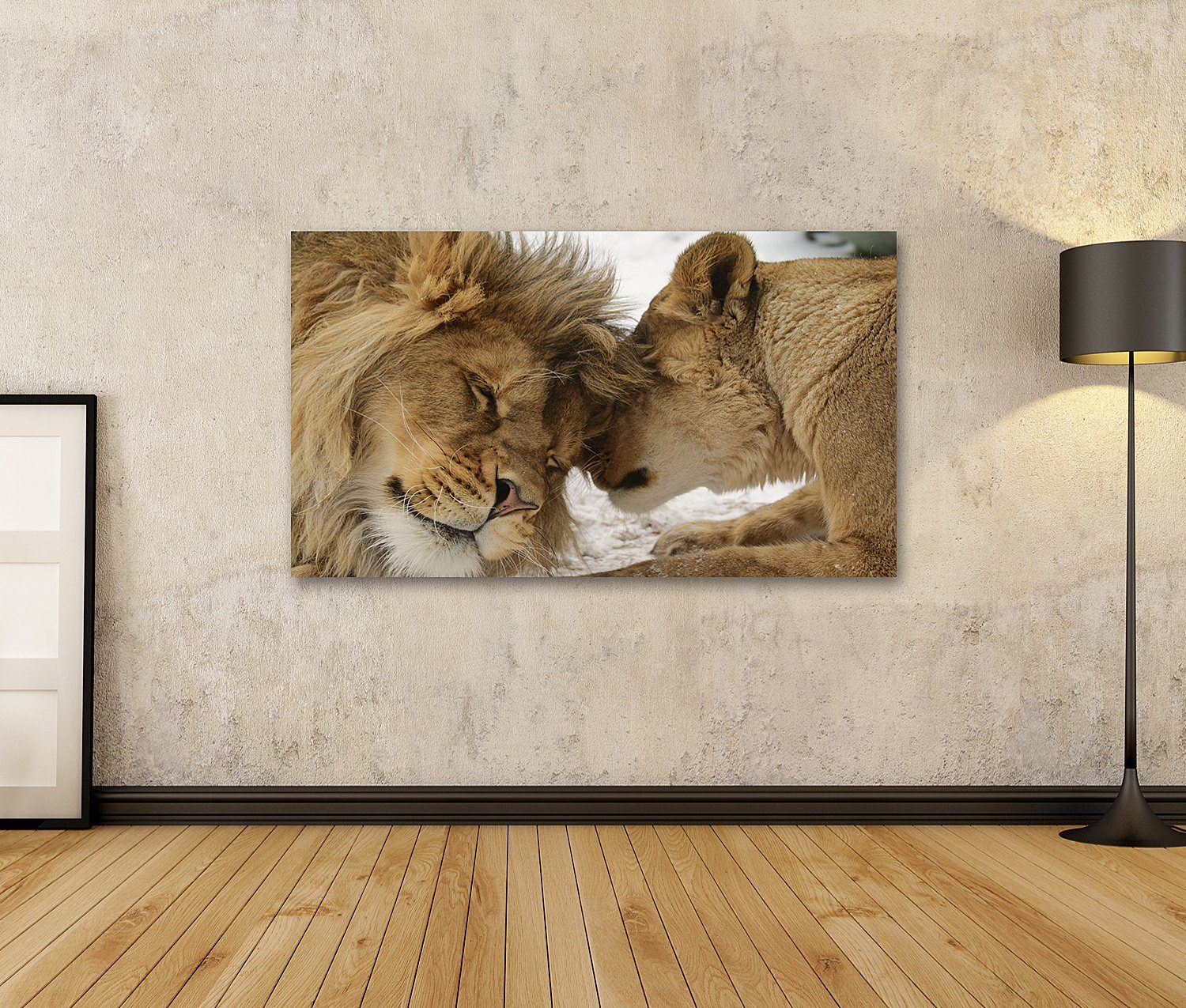 islandburner Leinwandbild Bild auf Leinwand Löwe und Löwin kuschelnd Zärtli günstig online kaufen