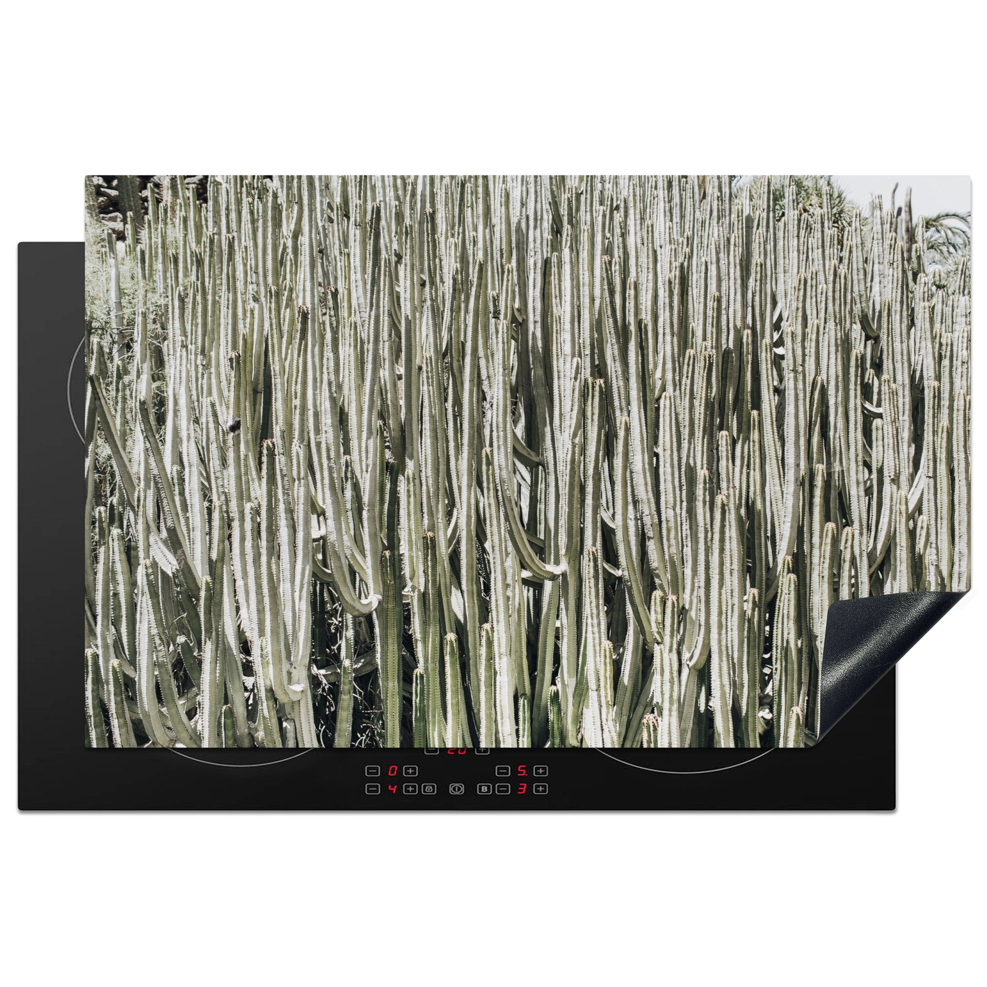 MuchoWow Herdblende-/Abdeckplatte Kaktus küche, cm, Natur - tlg), - die Vinyl, (1 81x52 Schutz Ceranfeldabdeckung für Induktionskochfeld Sukkulenten
