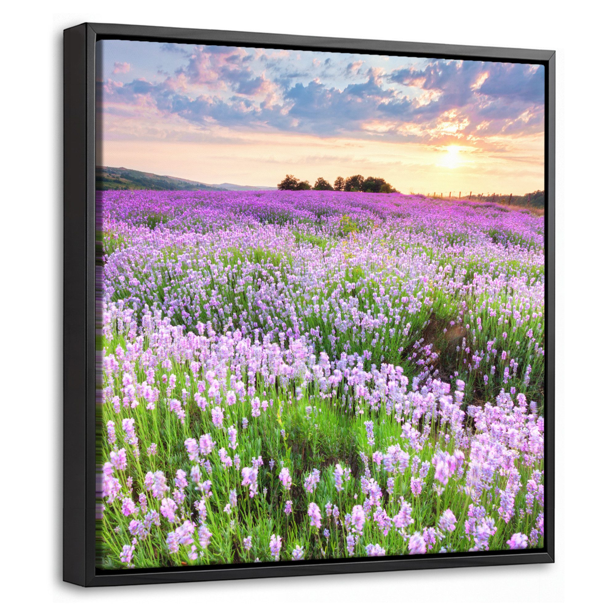 OneMillionCanvasses® Leinwandbild mit Rahmen - Blumen - Lavendel - Lila - Himmel - Sonnenuntergang - Wie, Fotodruck (1 St), Leinwand Bilder Klein, Wand Dekoration Aesthetic 20x20cm