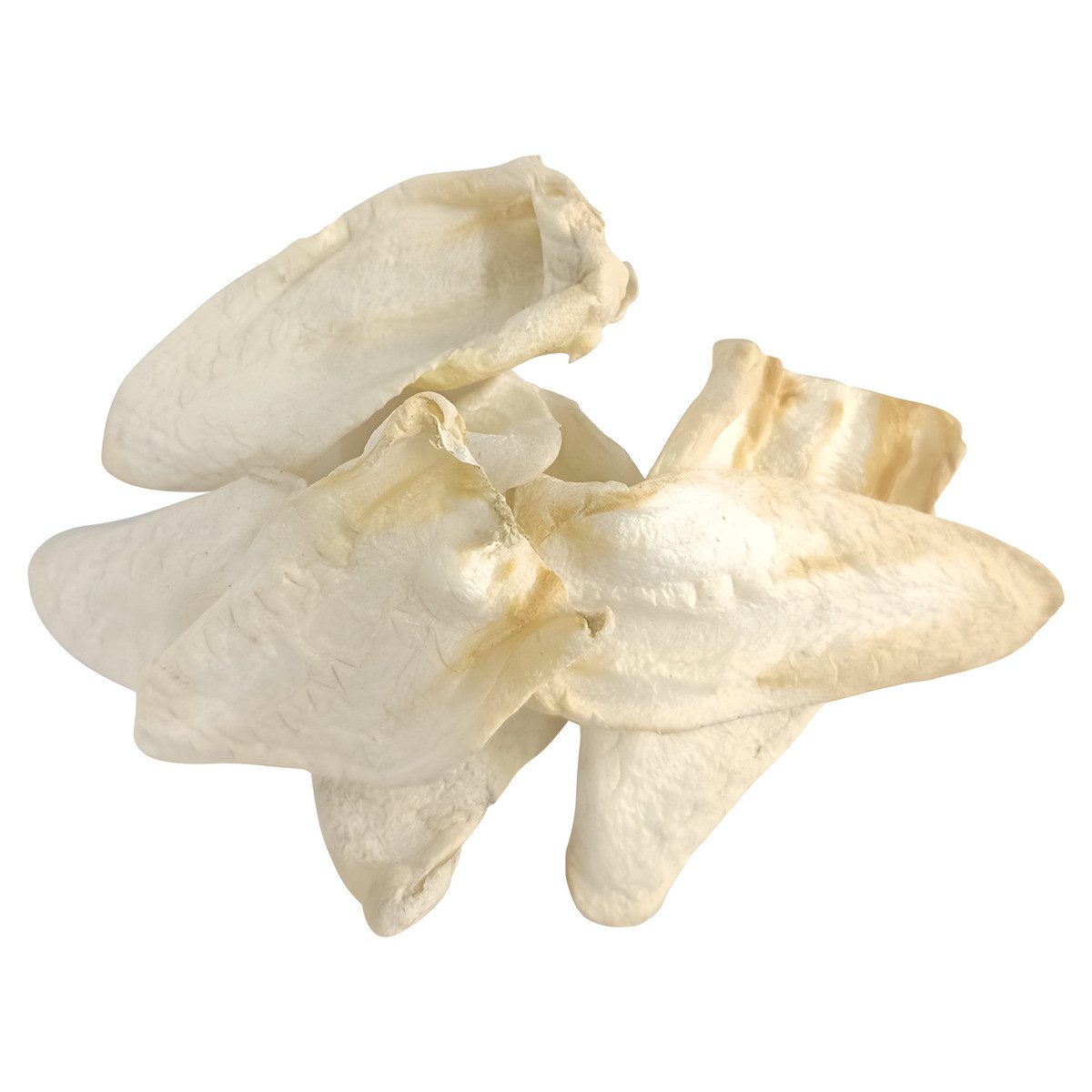Nobby Hundesnack Nature Ziegenohren - 3 Stück, Snack für: Hund