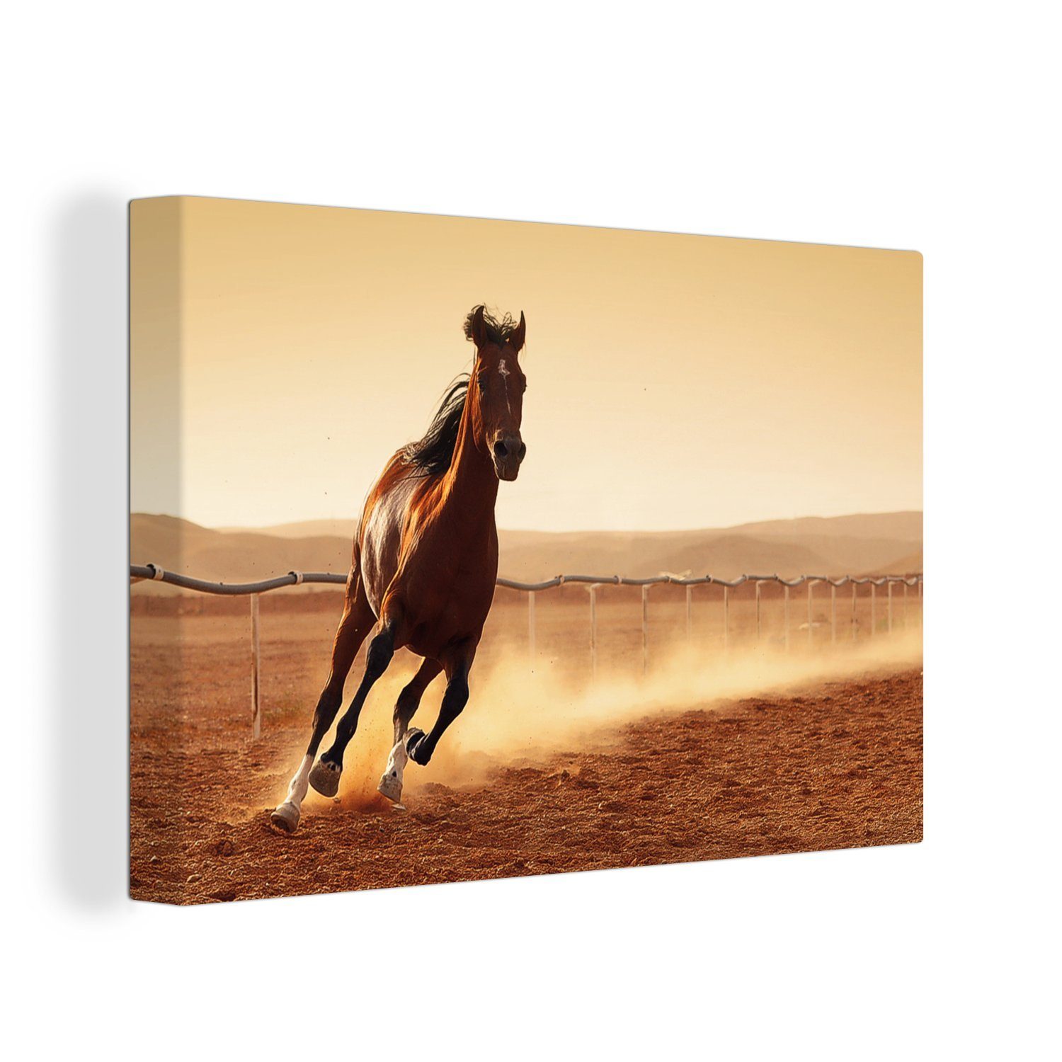 OneMillionCanvasses® Leinwandbild Leinwandbilder, Wandbild - Aufhängefertig, Pferd 30x20 Wanddeko, Araber cm (1 Galopp, - St)