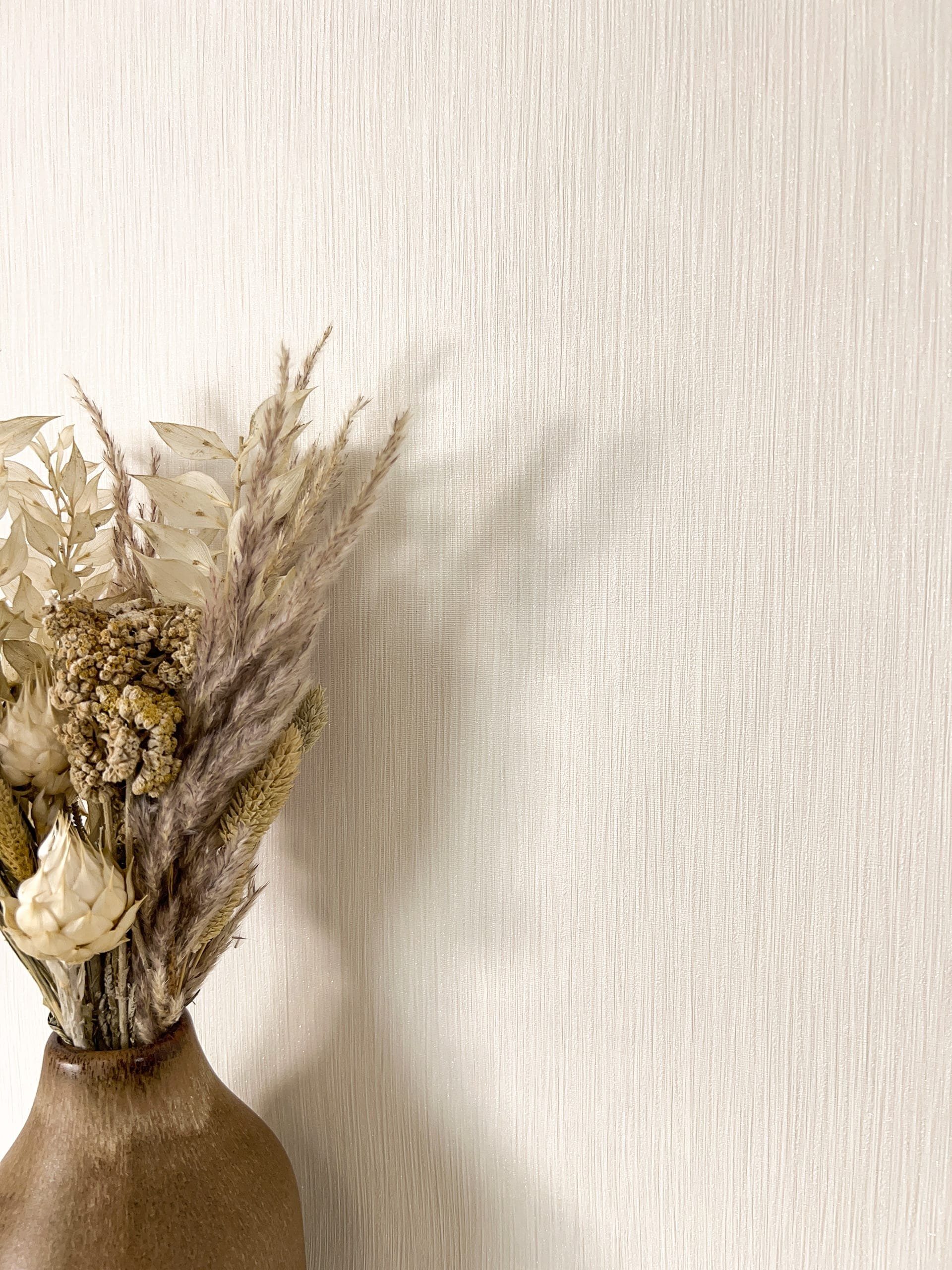 Newroom Vliestapete, Creme Tapete Modern Unifarbe - Universal Einfarbig Wei günstig online kaufen