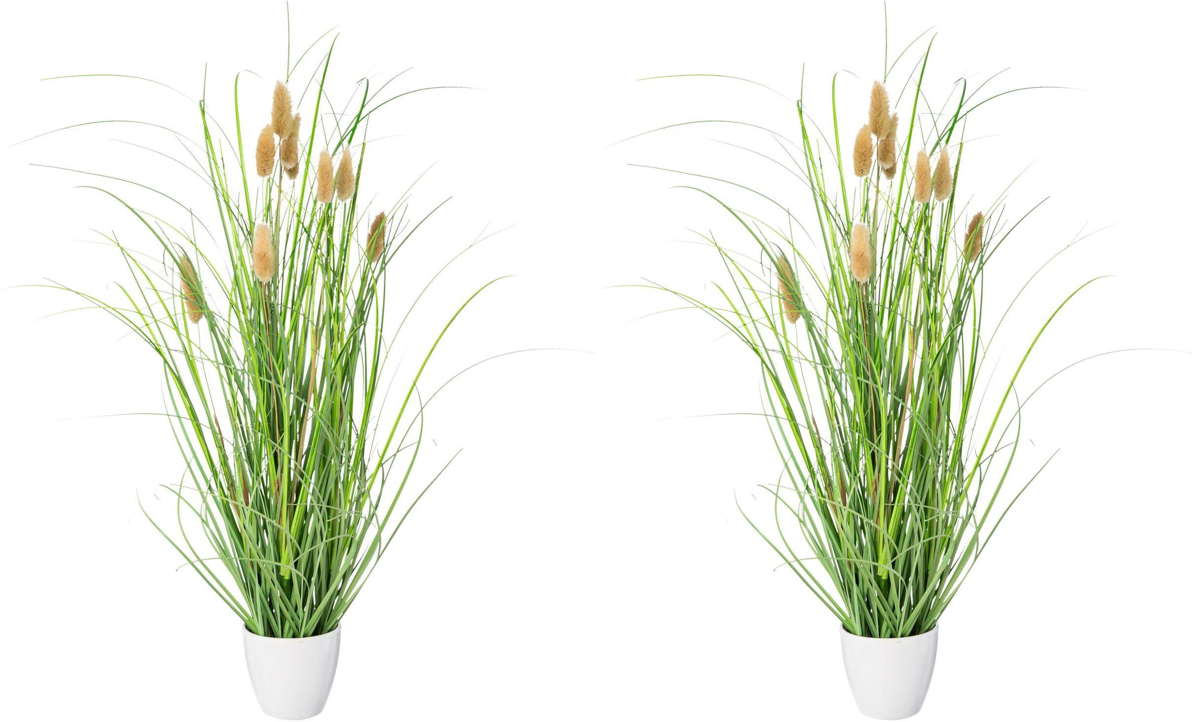 Kunstgras Grasbusch Lagurus Gras, Creativ green, günstig online kaufen