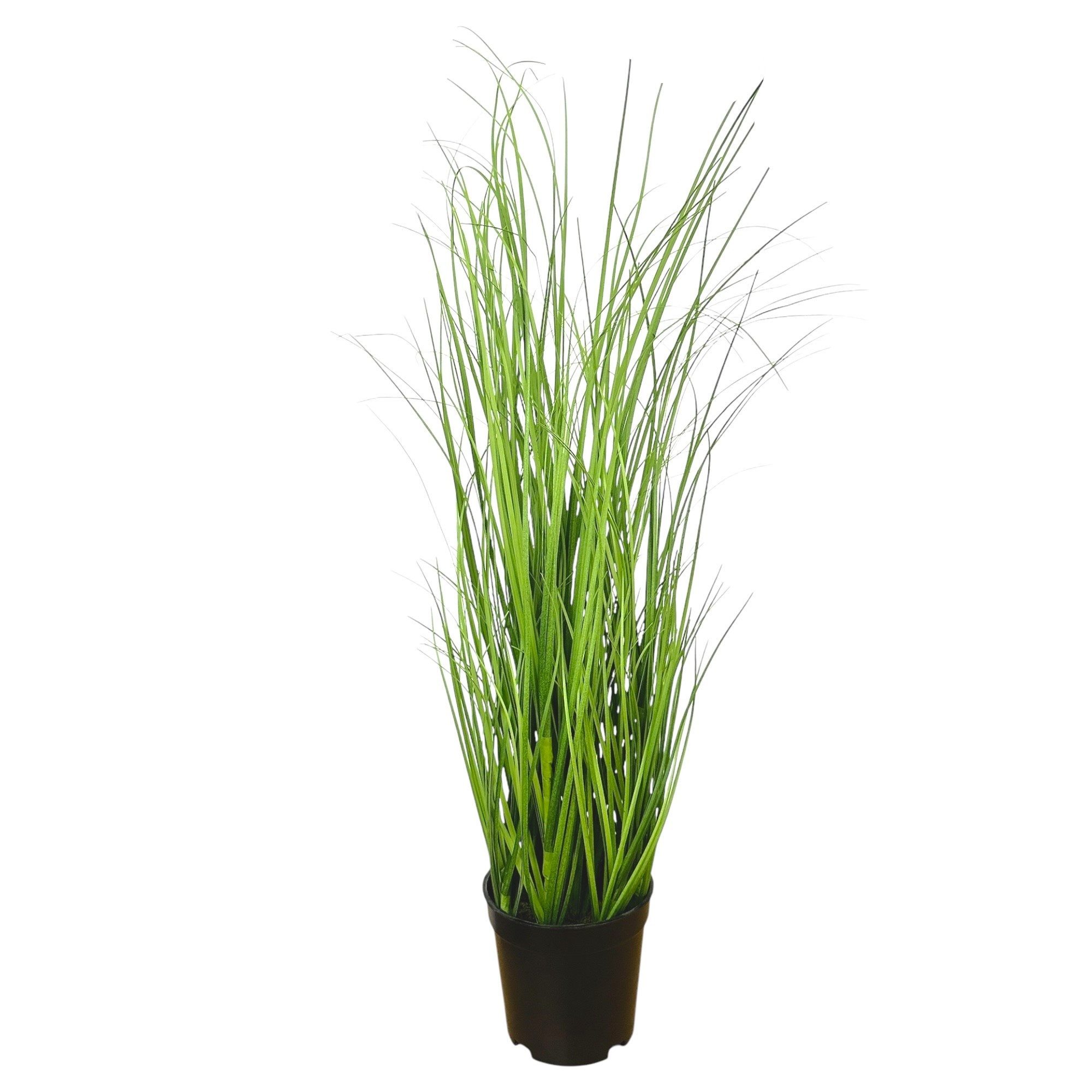 Kunstgras Kunstpflanze Gras, GRASBUSCH IM TOPF. Ca. 50cm. OHNE Übertopf., Gasper