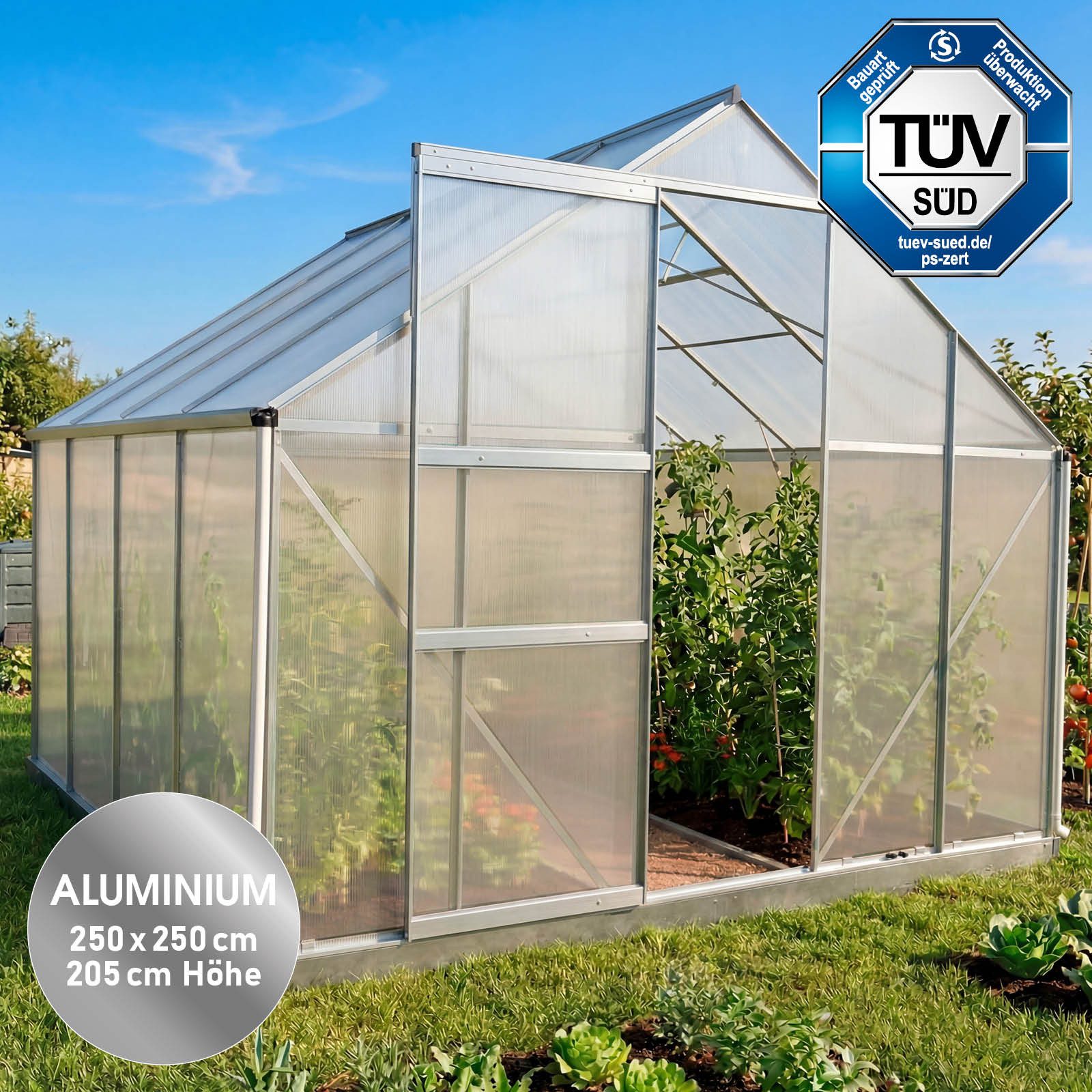 BRAST Gewächshaus ALU mit Fundament rostfrei 250x250x205cm TÜV geprüft, BxTxH: 250 x 250 x 205 cm, wetterfestes hochwertiges Aluminium, Temperaturbeständig, Wär – Bild 2 von 5