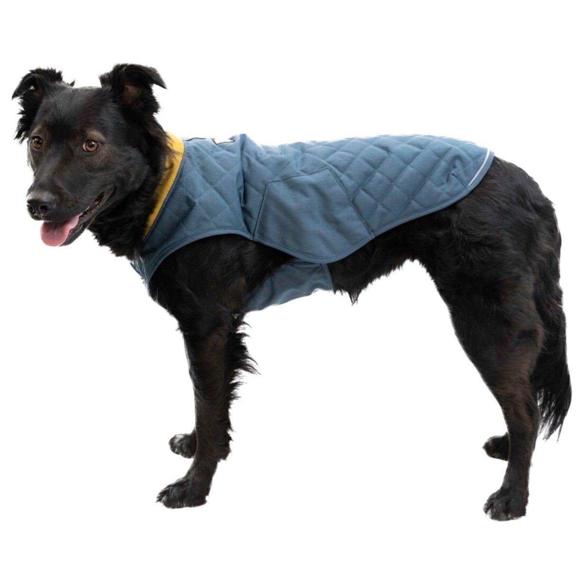 Ruffwear Hundemantel Steppjacke Stumptown Jacket Orion Blue