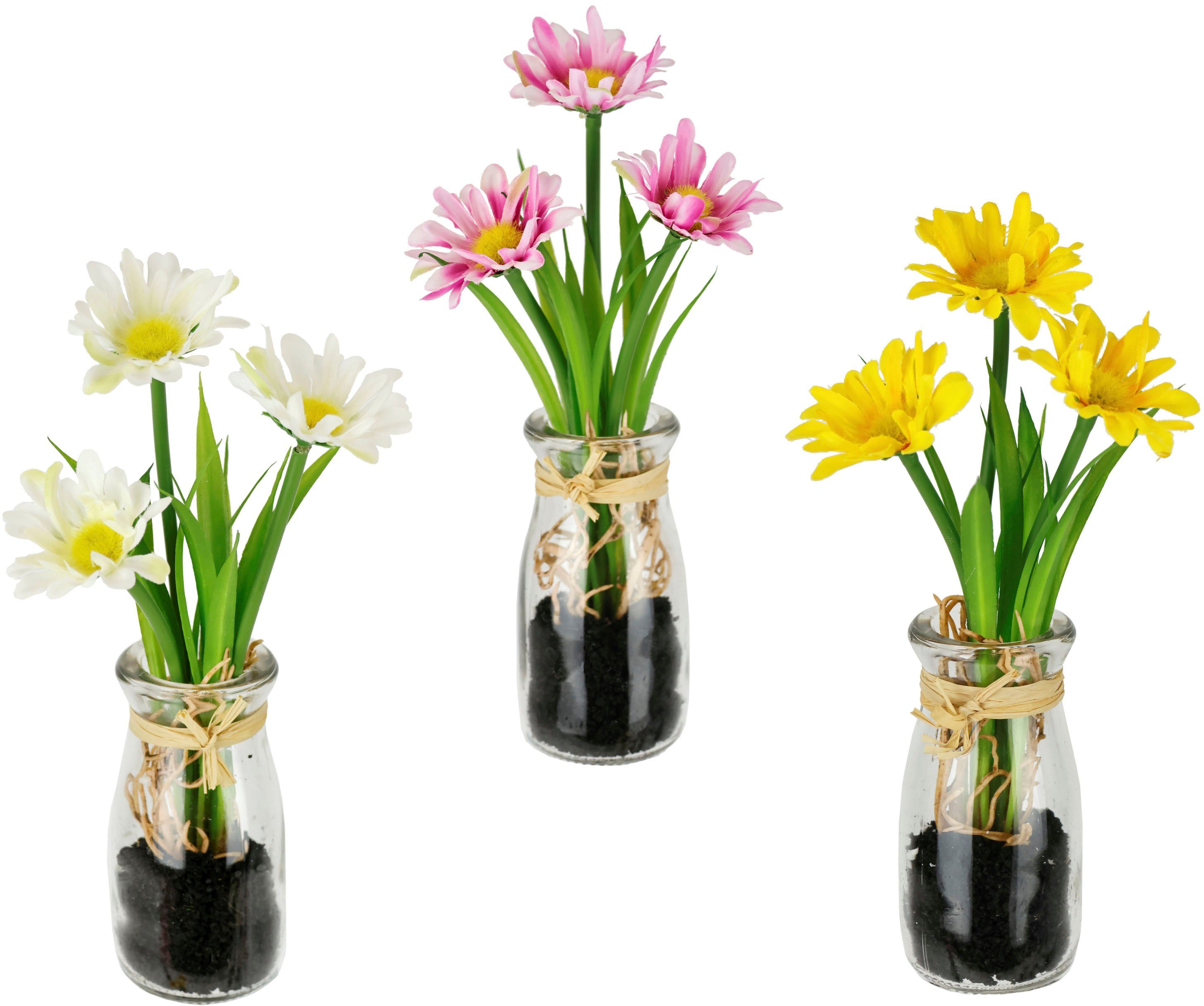 Kunstblume Margeriten, I.GE.A., Höhe 21 cm, Künstliche Mini-Margeriten im G günstig online kaufen