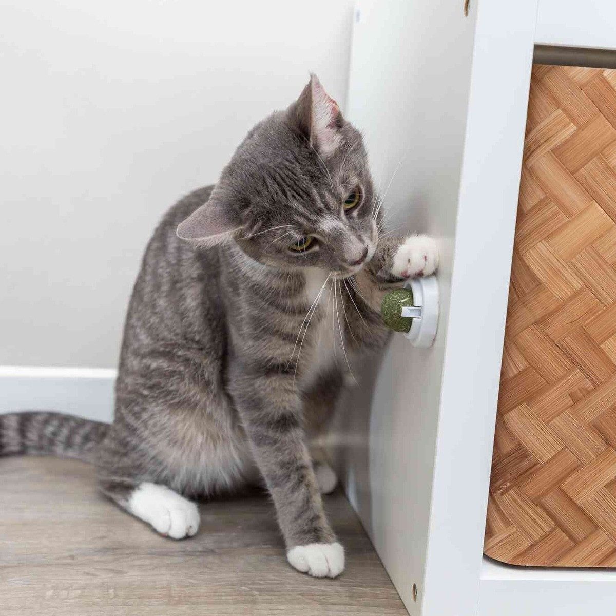 TRIXIE Tierball Katzenminze Ball mit Halterung