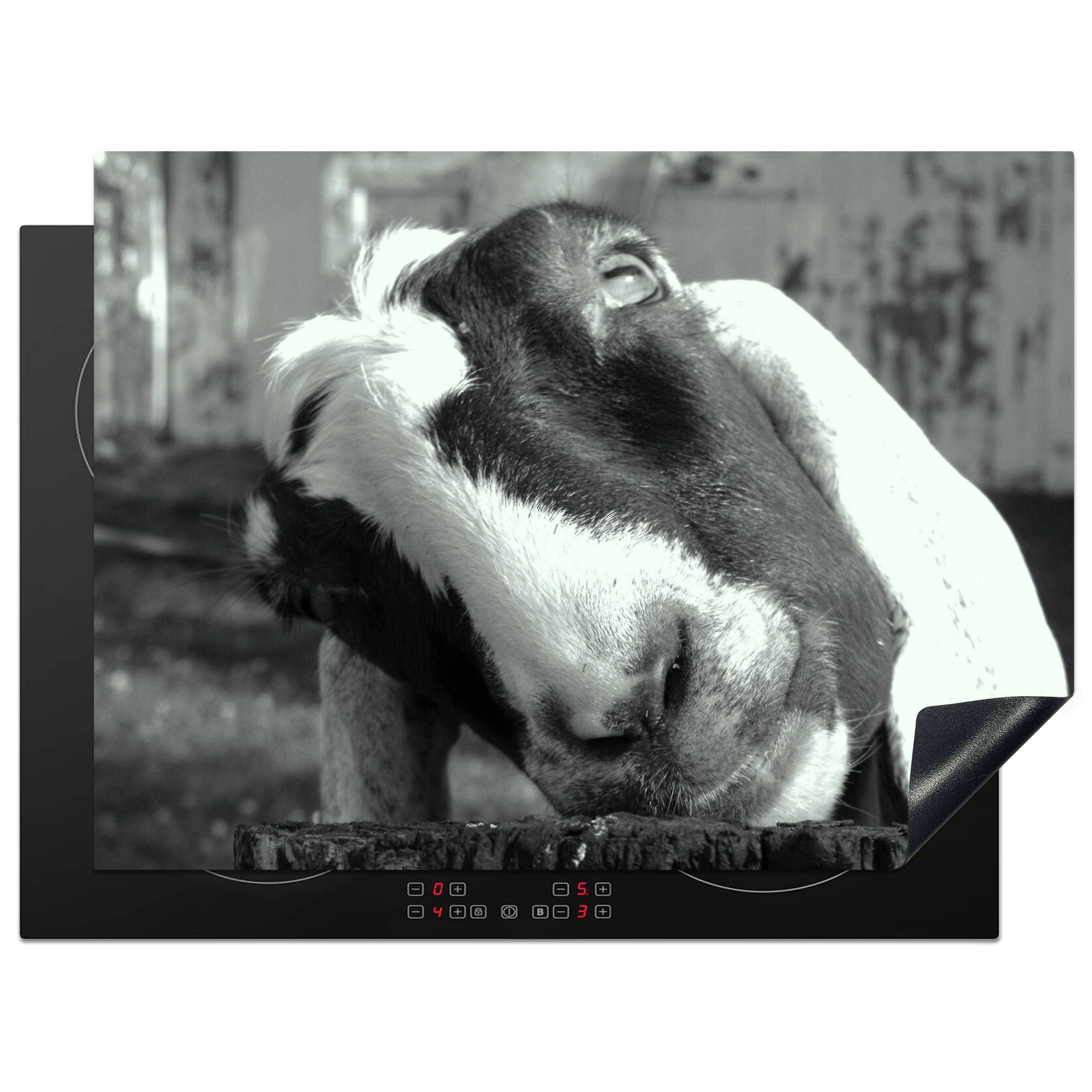 MuchoWow Herdblende-/Abdeckplatte Neugierige Ziege in Schwarz und Weiß, Vinyl, (1 tlg), 70x52 cm, Mobile Arbeitsfläche nutzbar, Ceranfeldabdeckung