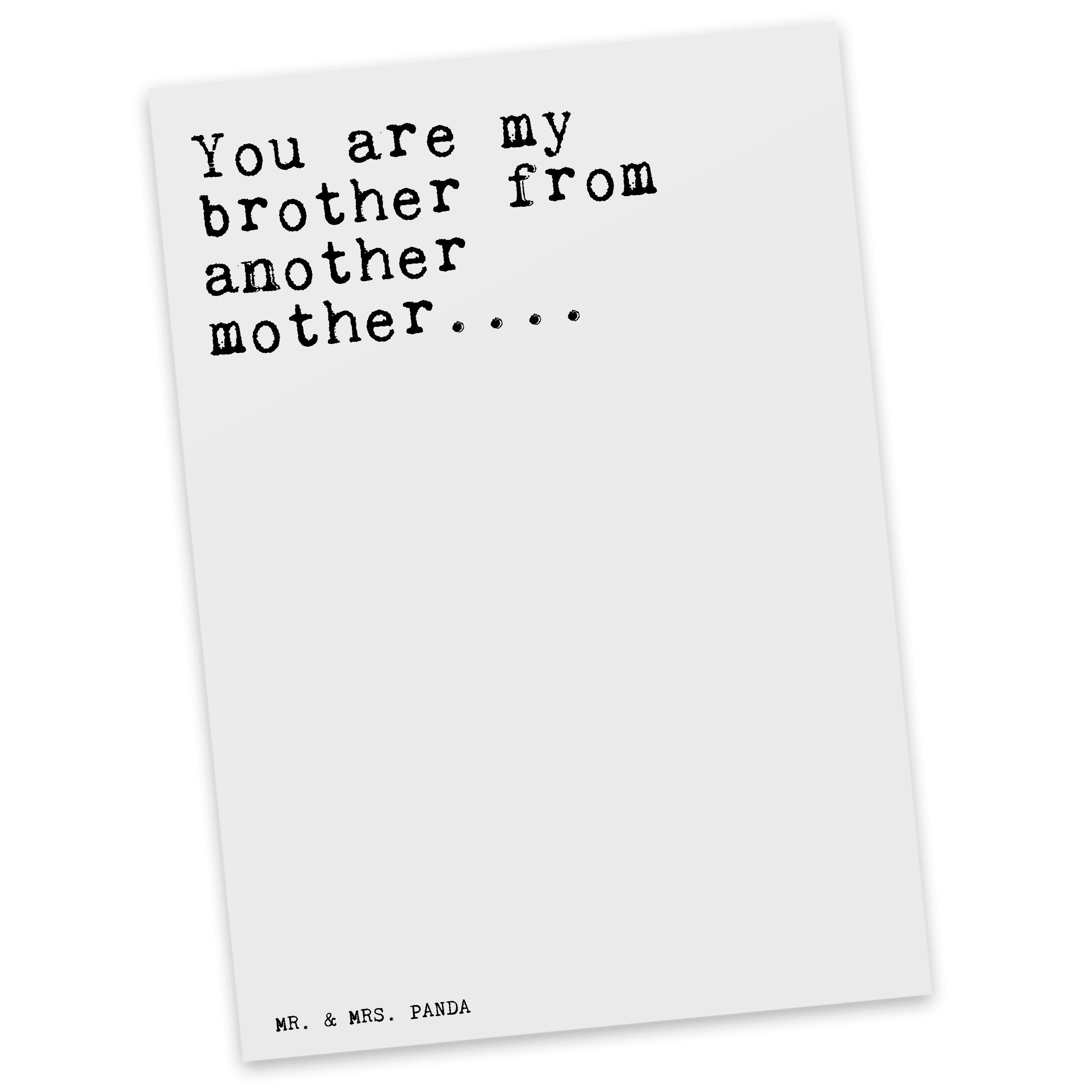 Mr. & Mrs. Panda Postkarte »You are my brother... Weiß Sprüche