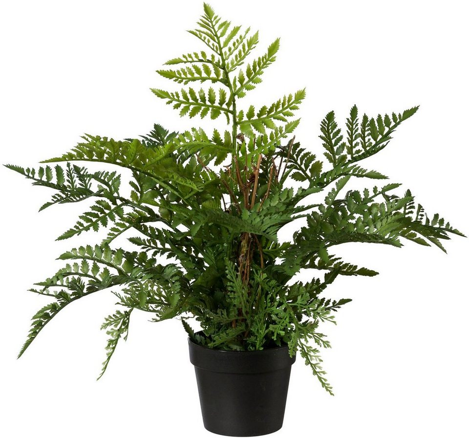 Kunstpflanze Farn, Creativ green, Höhe 45 cm, im Kunststofftopf