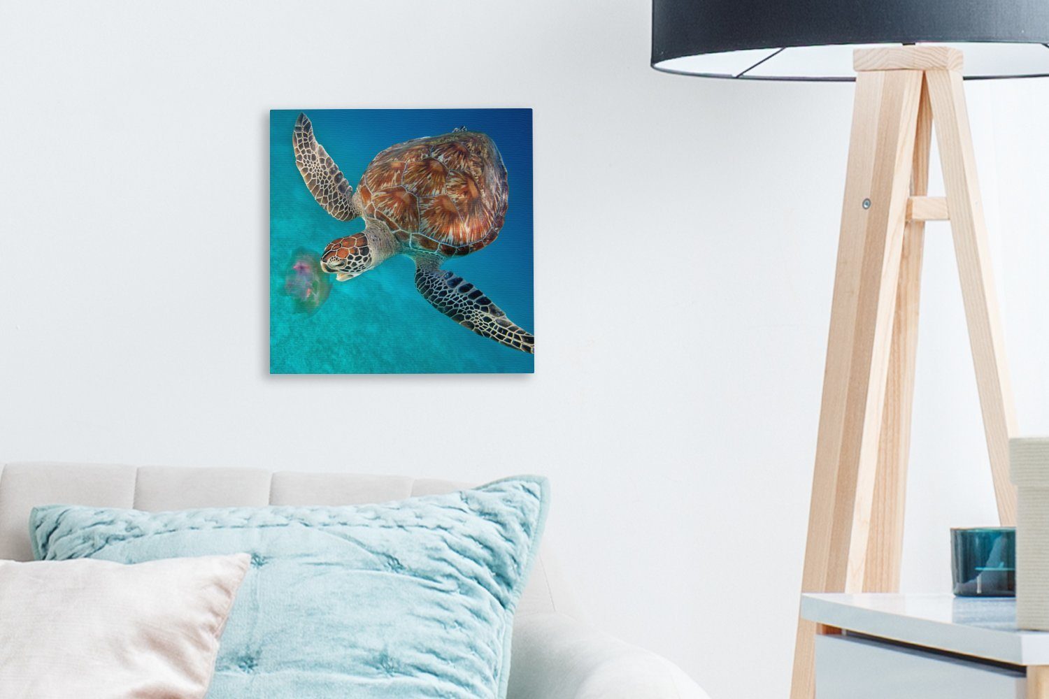 Qualle, St), Schlafzimmer Leinwand mit Wohnzimmer Bilder Leinwandbild Grüne (1 Schildkröte für OneMillionCanvasses®