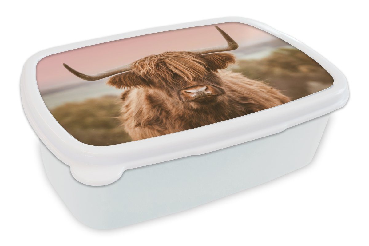 für Brotdose, Kuh Lunchbox MuchoWow Kunststoff, Kinder (2-tlg), Schottischer Mädchen Highlander - und Brotbox weiß Jungs für Tier, Erwachsene, - und