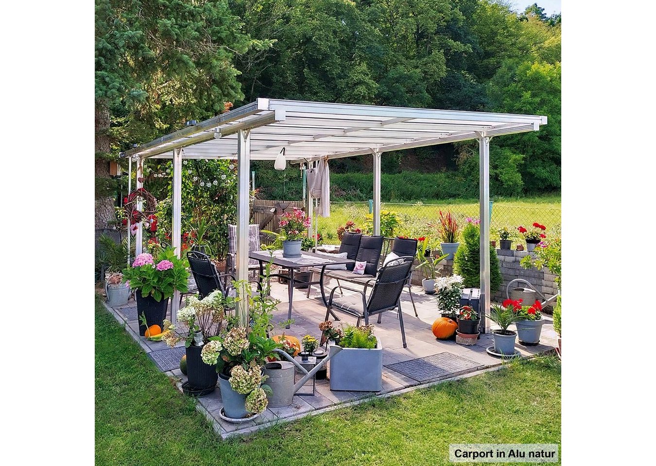 Thumbnail - Beckmann Einzelcarport CPTG, BxT: 311x496 cm, 210 cm Einfahrtshöhe