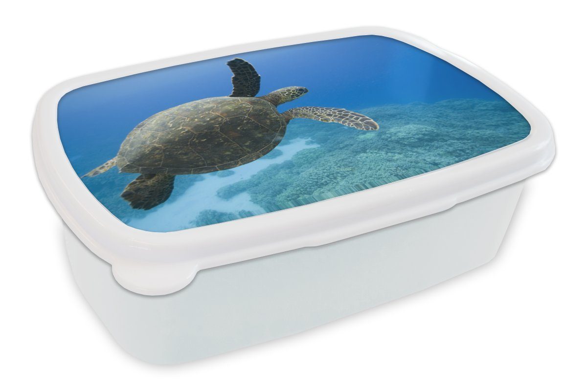 MuchoWow Lunchbox Grüne schwimmende Schildkröte Fotodruck, Kunststoff, (2-tlg), Brotbox für Kinder und Erwachsene, Brotdose, für Jungs und Mädchen weiß