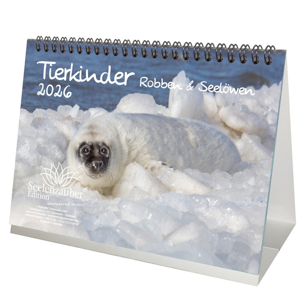 Seelenzauber Tischkalender Tierkinder Robben und Seelöwen DIN A5 Tischkalender für 2026