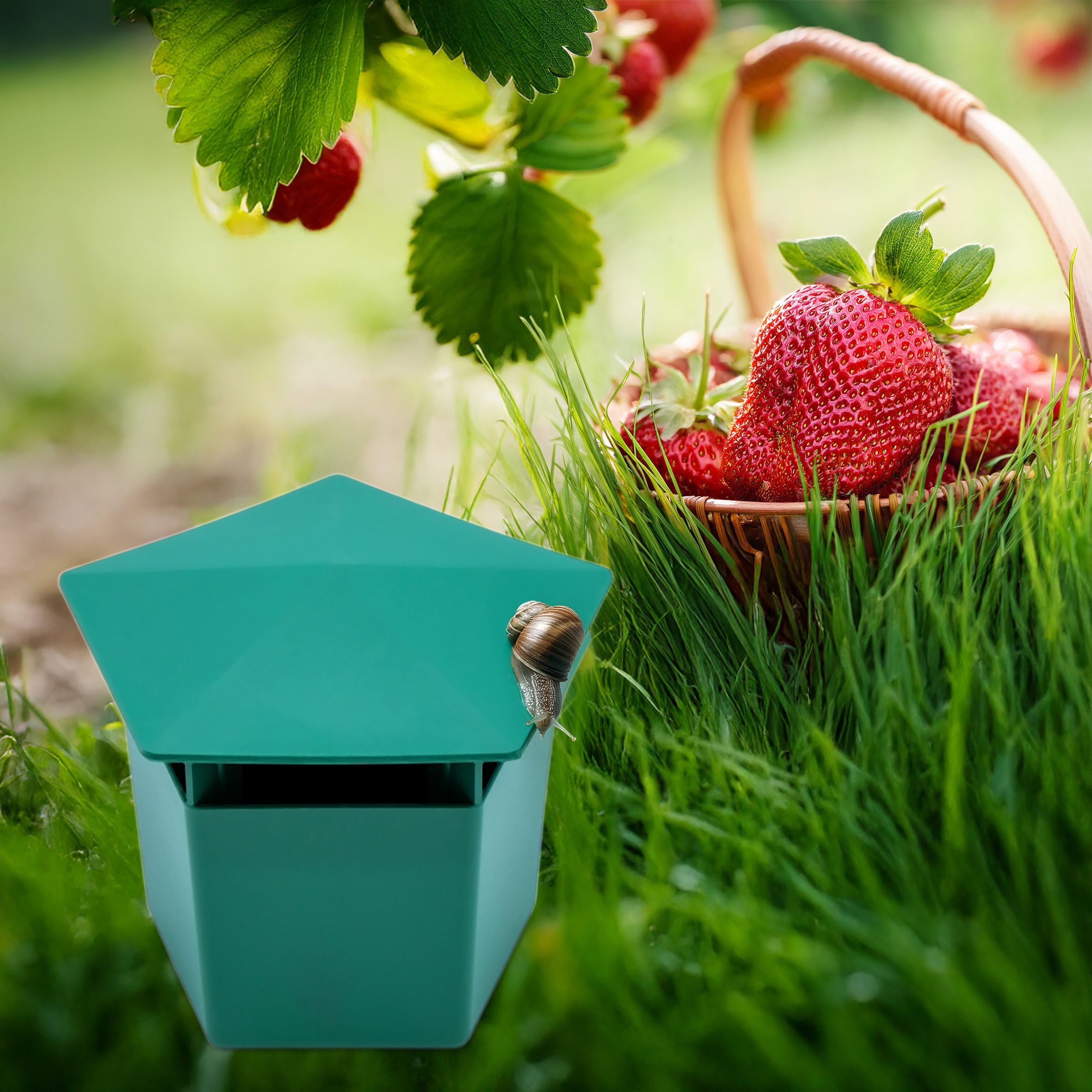 Spetebo Lebendfalle Schneckenfalle eckig - 12 x 12 cm - Schneckenschutz für Gemüsebeete, umweltfreundliche Alternative