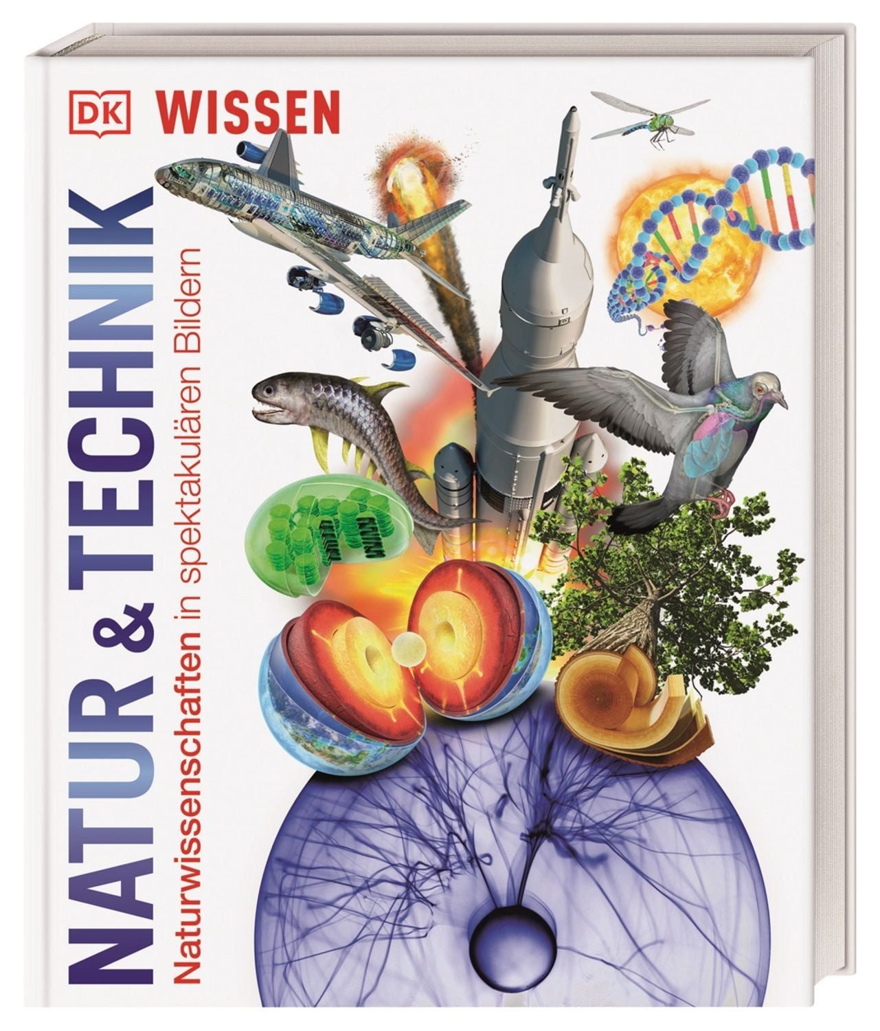 DK Wissen. Natur & Technik / Abigail Beall, Jack Challoner, Derek Harvey