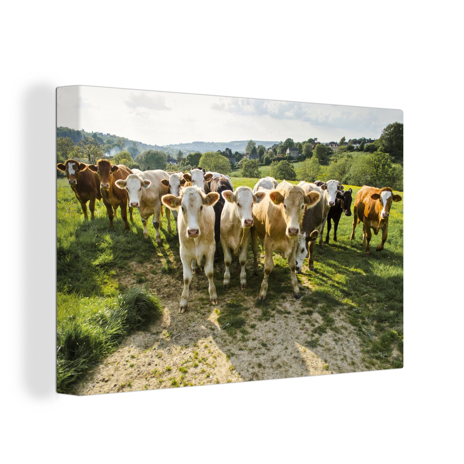OneMillionCanvasses® Leinwandbild Bauernhof - Kühe - Gras, (1 St), Wandbild Leinwandbilder, Aufhängefertig, Wanddeko, 30x20 cm