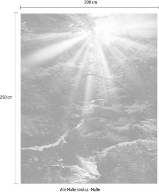 Komar Vliestapete Divine, (1 St), 200x250 cm (Breite x Höhe), Vliestapete, 100 cm Bahnbreite
