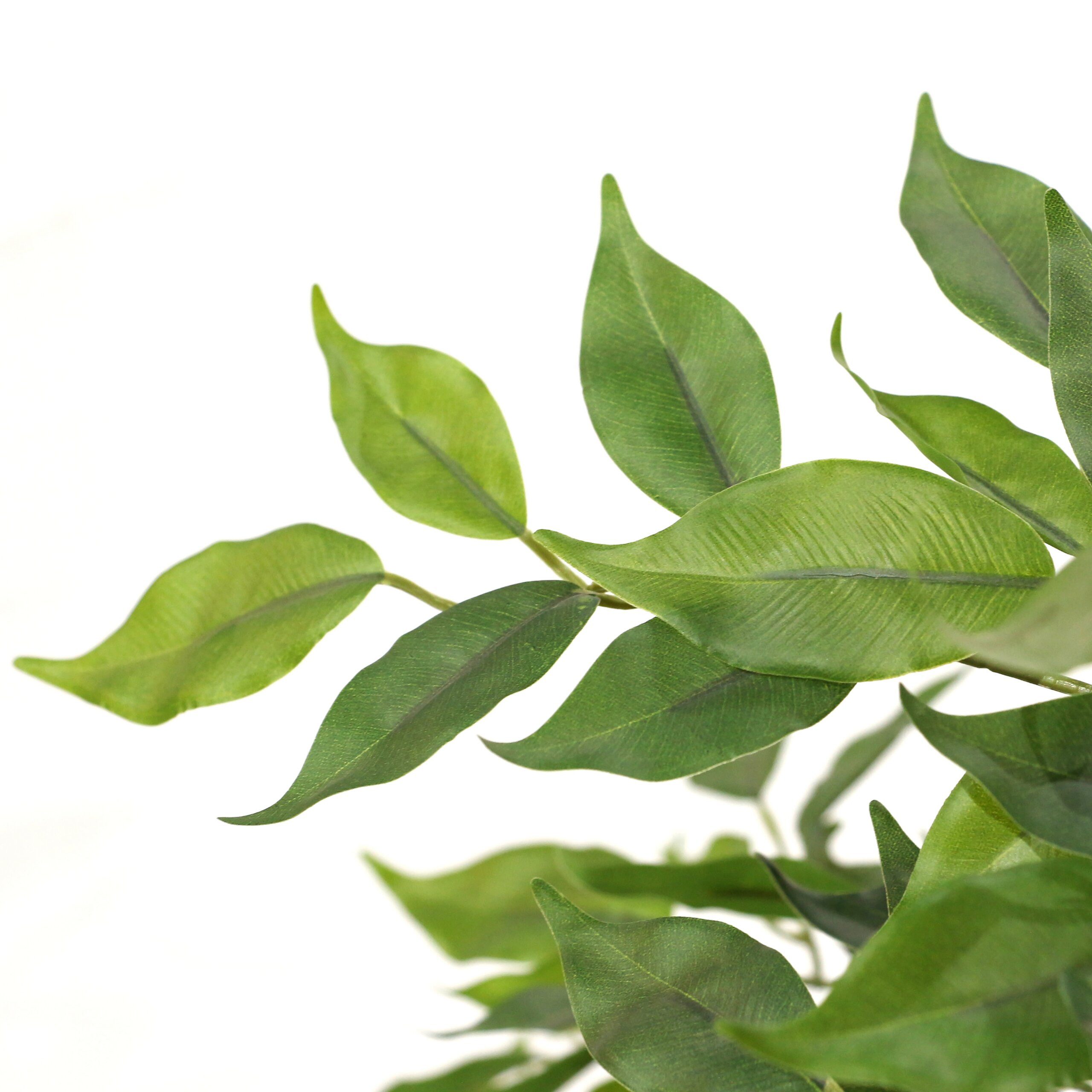 Kunstpflanze FICUS I Künstliche Pflanze Höhe 120.0 cm Birke Birke, hjh OFFICE, Höhe 120.0 cm, Künstliche Zimmerpflanze Benjamini im Kunststoff-Topf, Kunstbaum