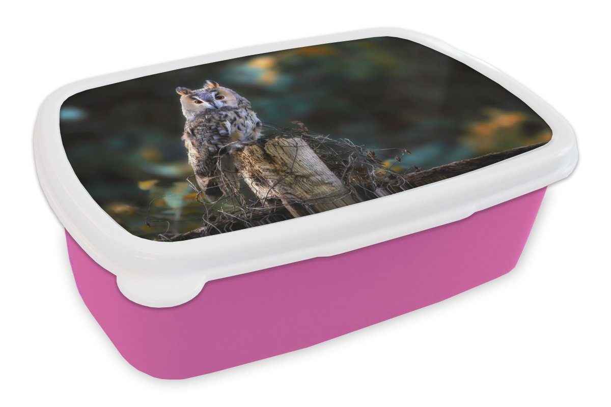 MuchoWow Lunchbox Eule - Herbst - Vogel - Äste, Kunststoff, (2-tlg), Brotbox für Erwachsene, Brotdose Kinder, Snackbox, Mädchen, Kunststoff rosa