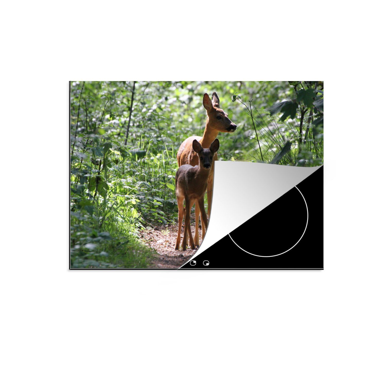 MuchoWow Herdblende-/Abdeckplatte Hirsche auf einem Waldweg, Vinyl, (1 tlg), 71x52 cm, Induktionskochfeld Schutz für die küche, Ceranfeldabdeckung