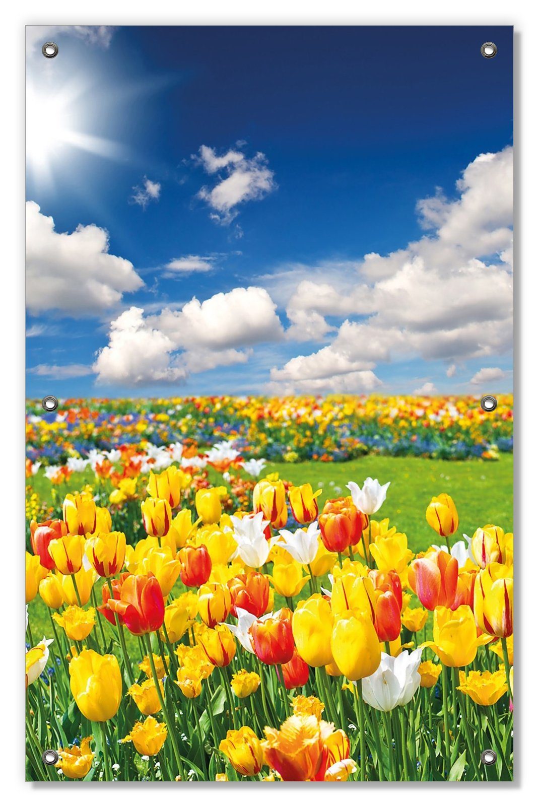 Sonnenschutz Tulpenwiese unter blauem Himmel, Wallario, blickdicht, mit Saugnäpfen, wiederablösbar und wiederverwendbar