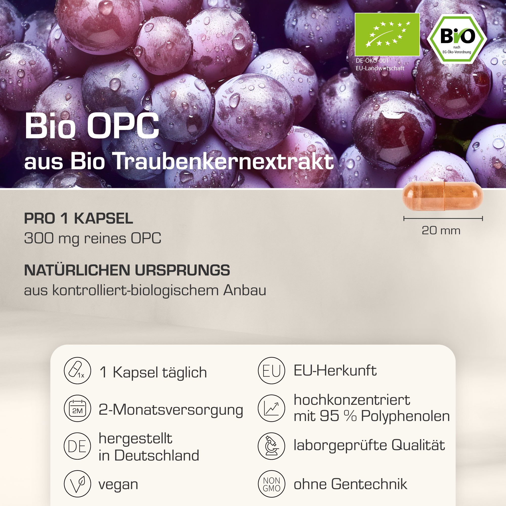 Purabyo BIO OPC, aus La Mancha (Spanien), 300 mg reines OPC, im Glas Kapseln, 1 er 60 St., 44 g