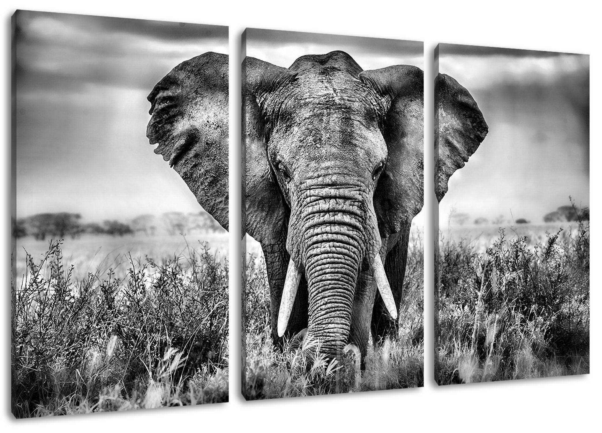 (120x80cm) Zackenaufhänger Imposanter inkl. 3Teiler Leinwandbild Elefant, bespannt, (1 fertig Elefant Pixxprint Leinwandbild St), Imposanter