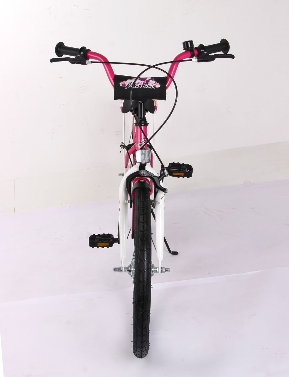 T&Y Trade Kinderfahrrad 20 Zoll Kinder Mädchen City Fahrrad Bike Rad Kinderfahrrad PASSIO Pink, 1 Gang, Gepäckträger, Seitenständer, Schutzbleche