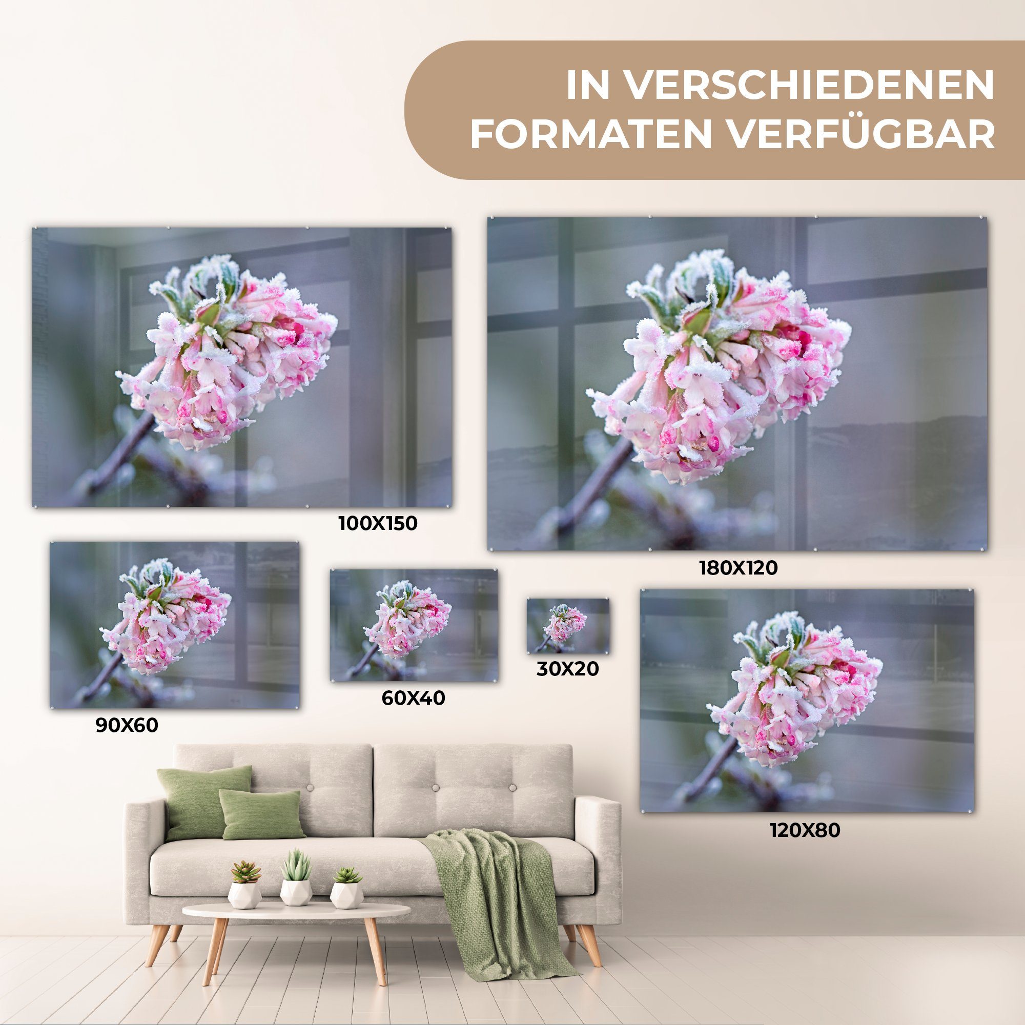 Schlafzimmer Acrylglasbild St), Acrylglasbilder & Blumen (1 - Gefroren, Rosa Wohnzimmer - MuchoWow