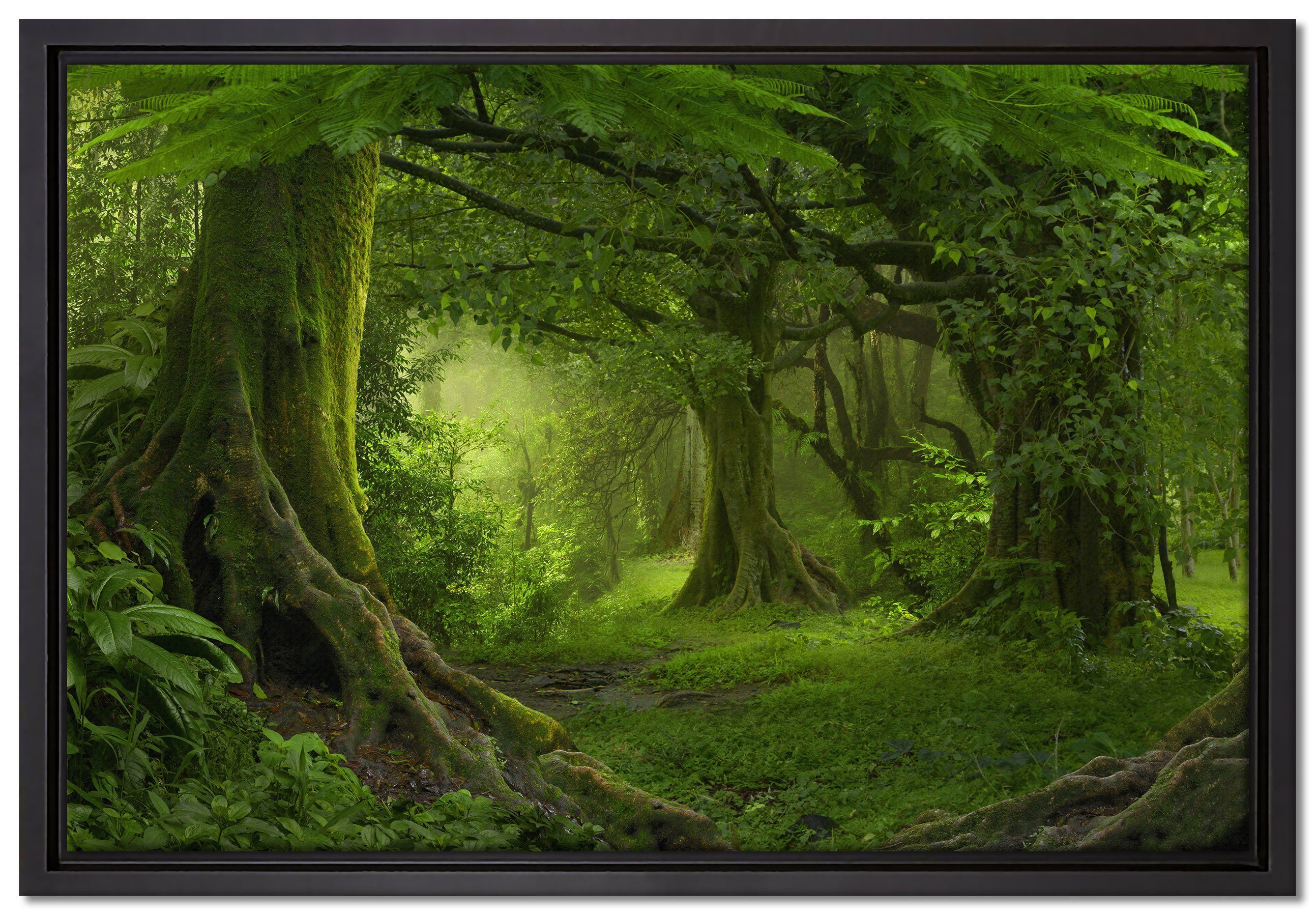 Pixxprint Leinwandbild Dschungel im Regenwald, Wanddekoration (1 St), Leinwandbild fertig bespannt, in einem Schattenfugen-Bilderrahmen gefasst, inkl. Zackenaufhänger