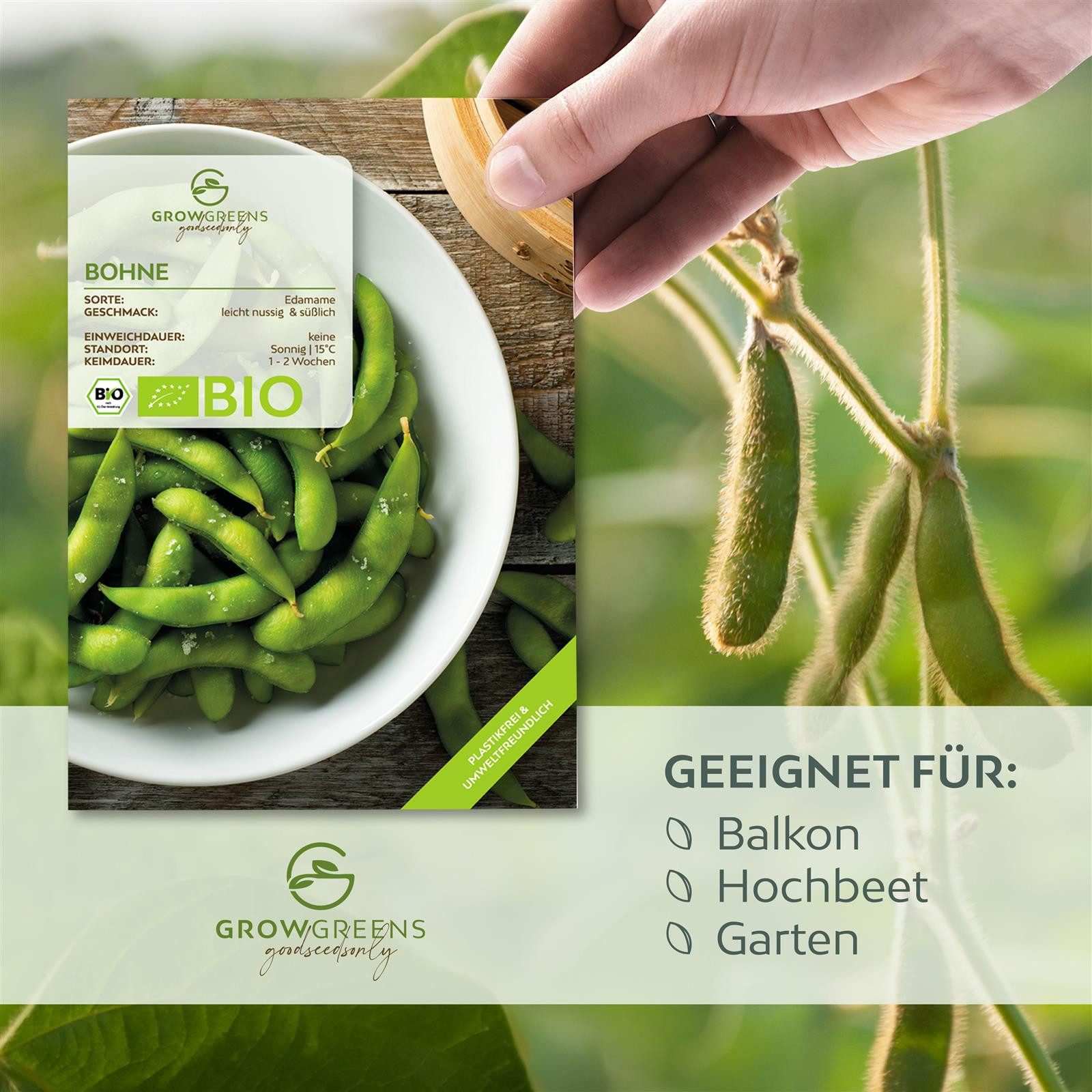 Growgreens Gemüsesamen BIO Bohnen Samen (Edamame) - Saatgut aus biologische günstig online kaufen
