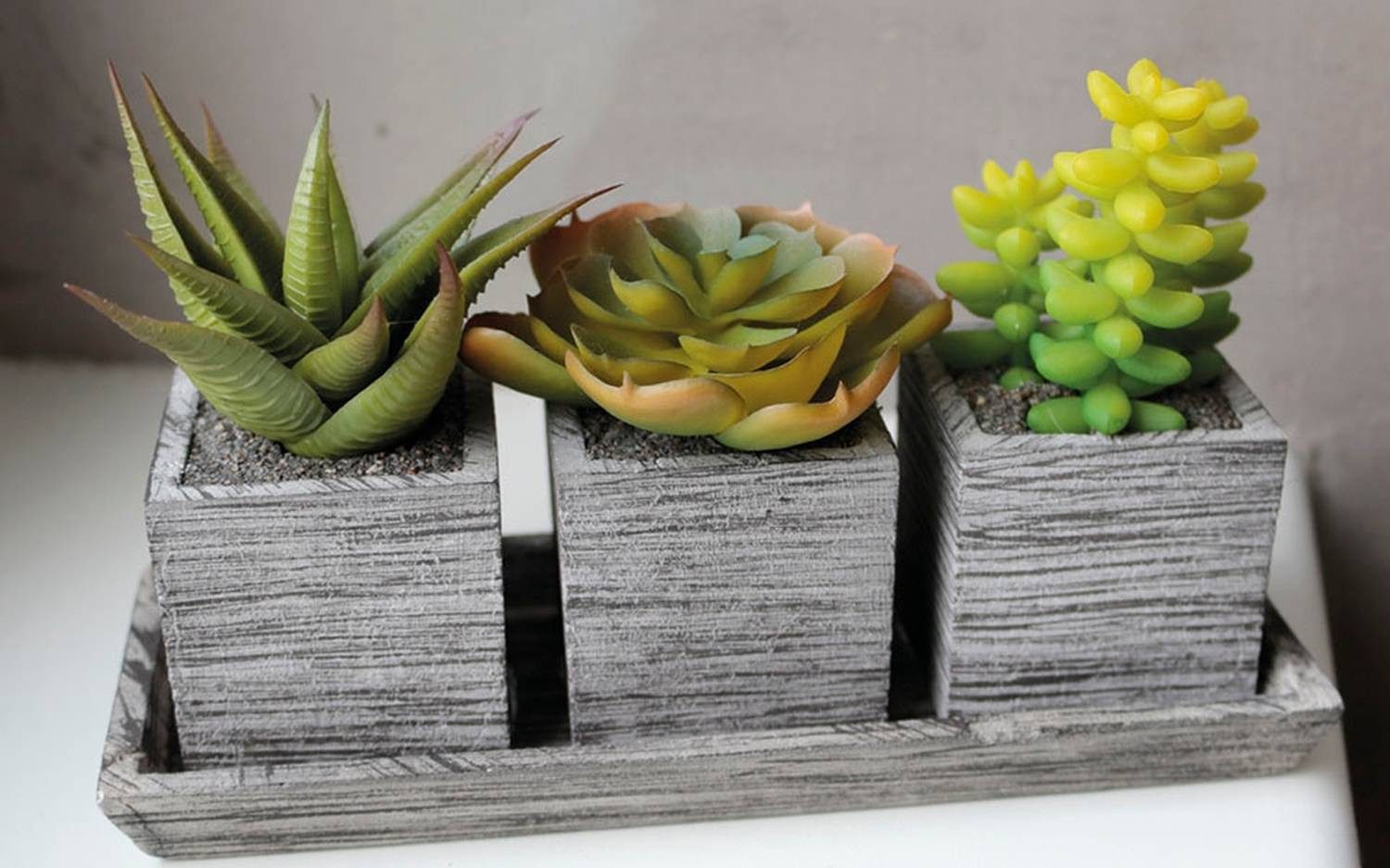 Gestecke Kunst Sukkulenten Gesteck Sylvia in Dekotöpfe, grün, 19x7,5x11cm, artplants, Höhe 11.0 cm