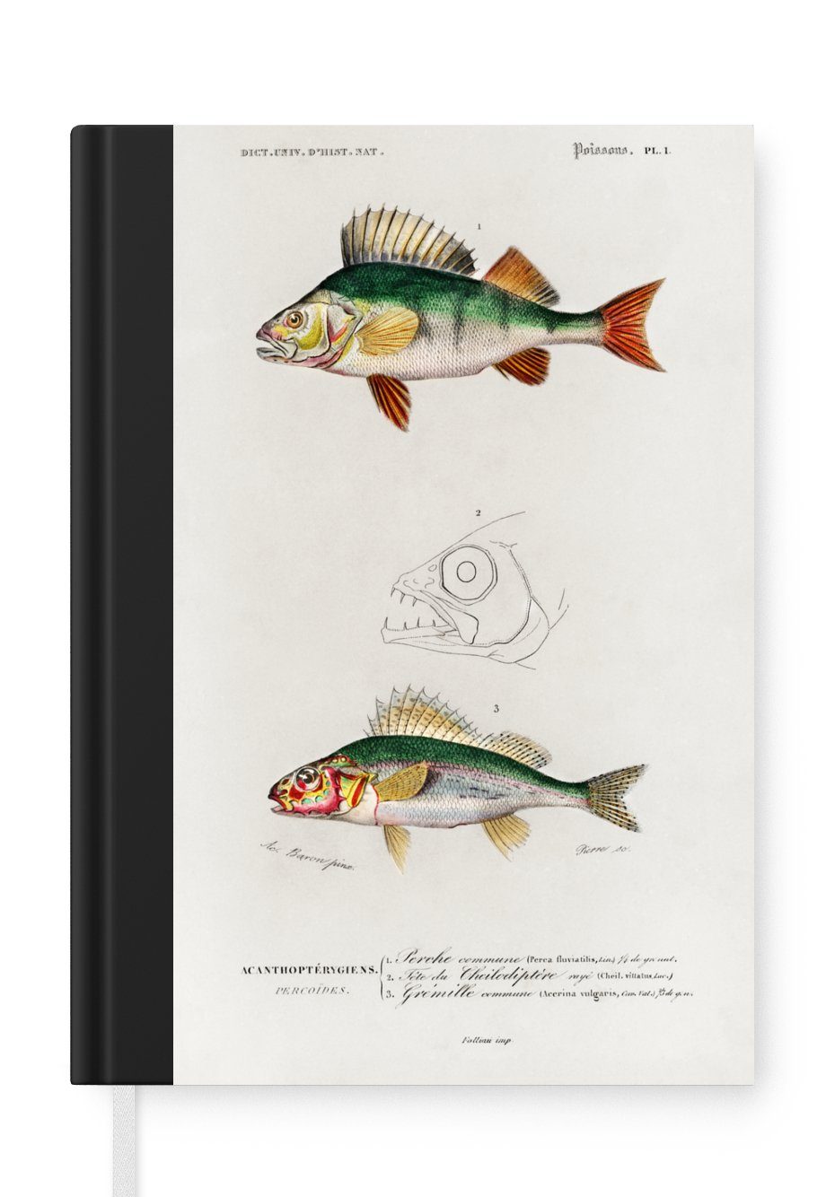 MuchoWow Notizbuch Fisch - Jahrgang - Realismus, Journal, Merkzettel, Tagebuch, Notizheft, A5, 98 Seiten, Haushaltsbuch