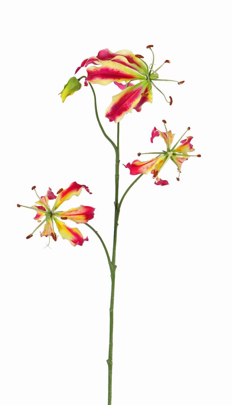 Kunstzweig Deko Zweig Gloriosa Tiana, pink - grün, 80cm, Ø Gloriosa, artplants, Höhe 85.0 cm