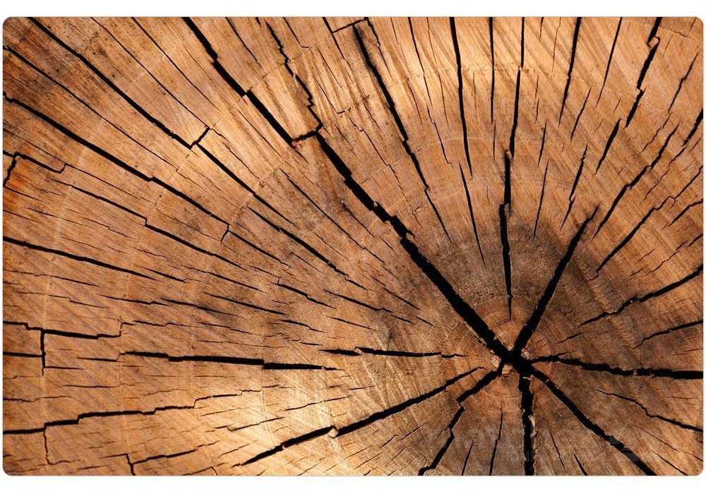 Platzset Abwaschbares Tischset Baumstamm Holz-Optik