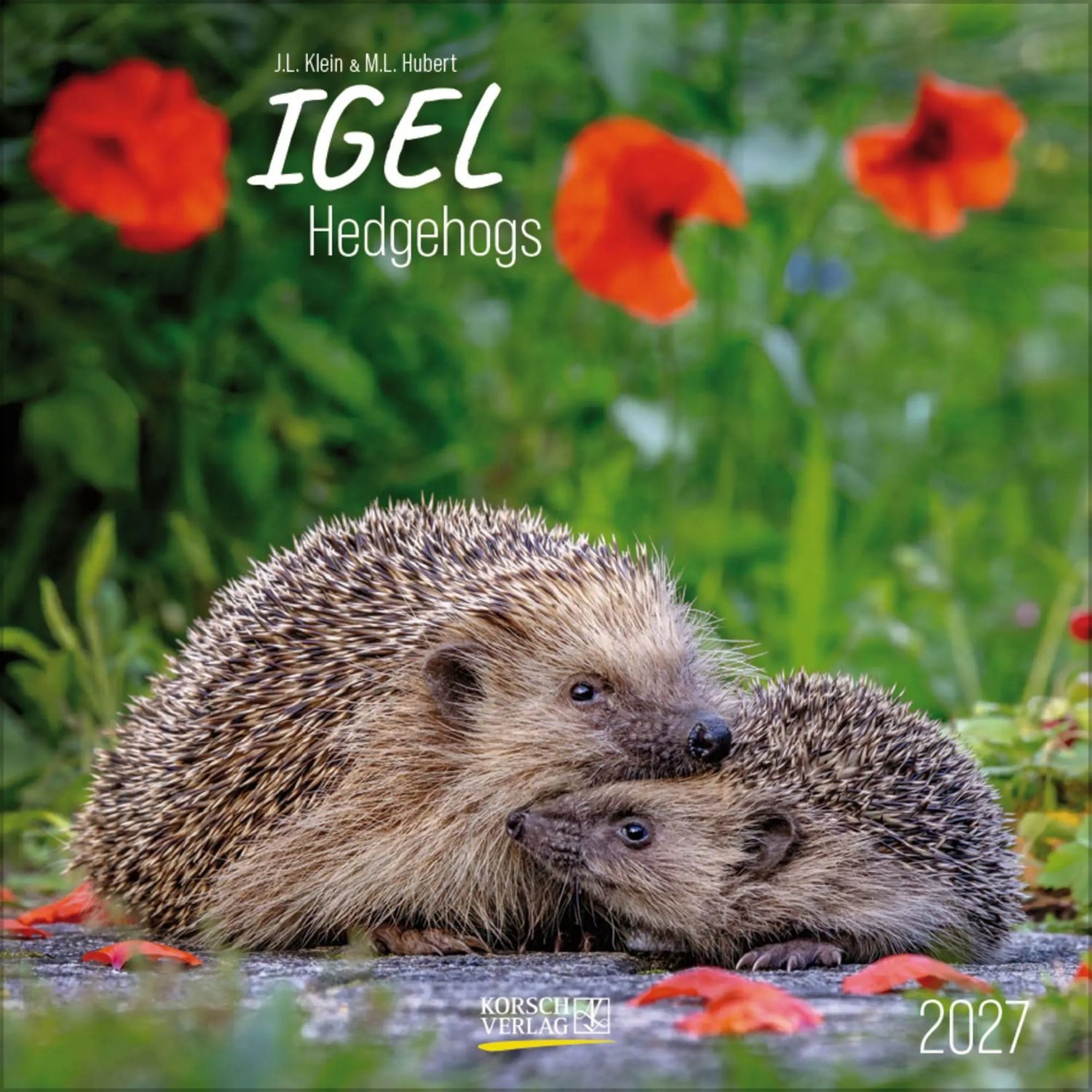 Korsch Verlag Tierkalender Igel 2027
