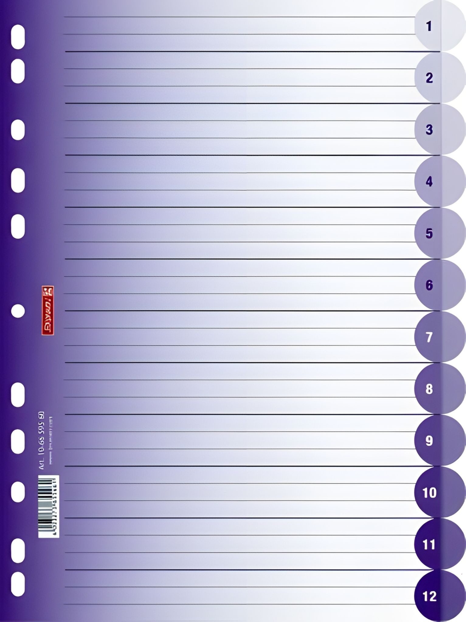 BRUNNEN Aktenordner BRUNNEN Ringbuchregister A4 12-teilig purple 106659560