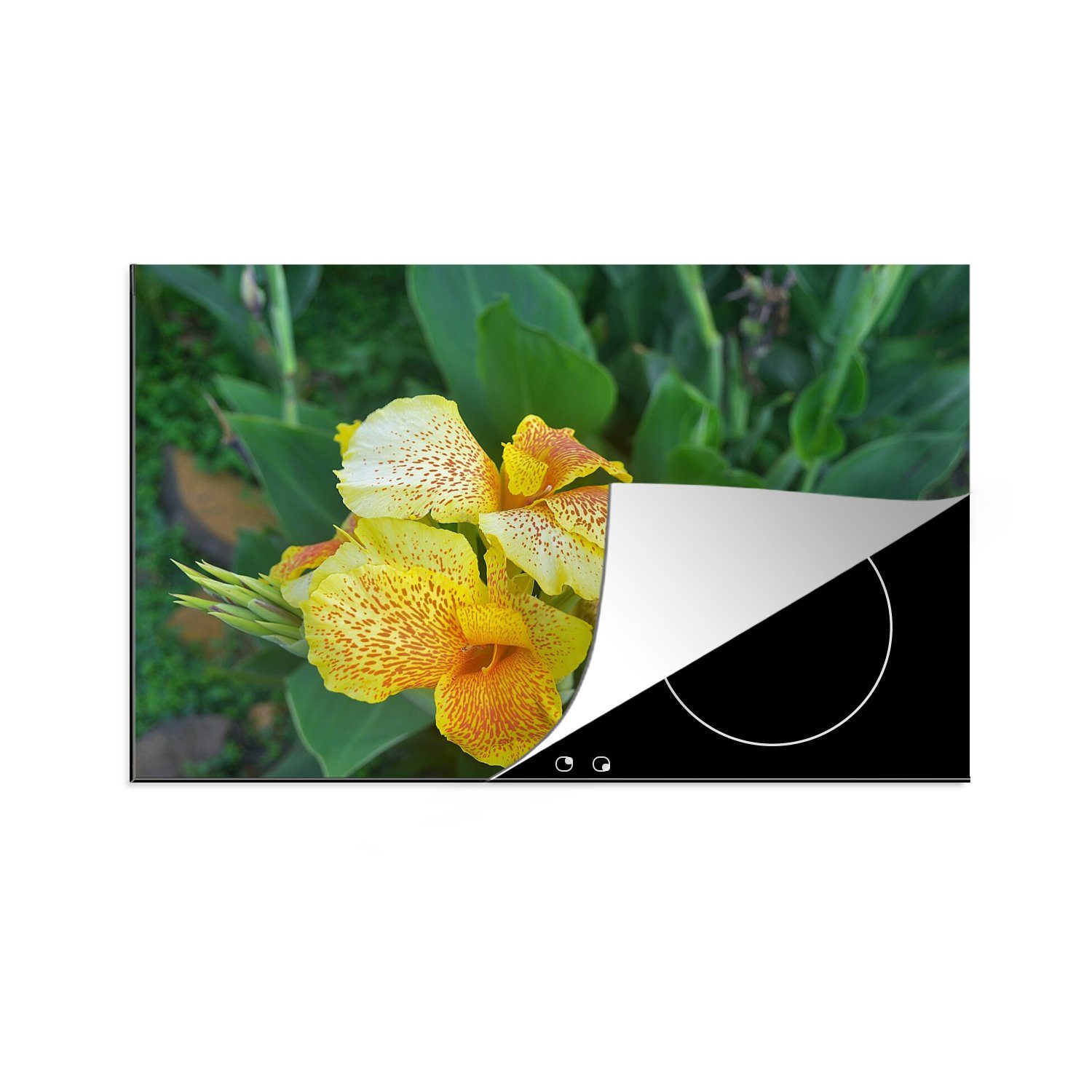 MuchoWow Herdblende-/Abdeckplatte Leuchtend gelbe Canna-Blüte, Vinyl, (1 tlg), 81x52 cm, Induktionskochfeld Schutz für die küche, Ceranfeldabdeckung
